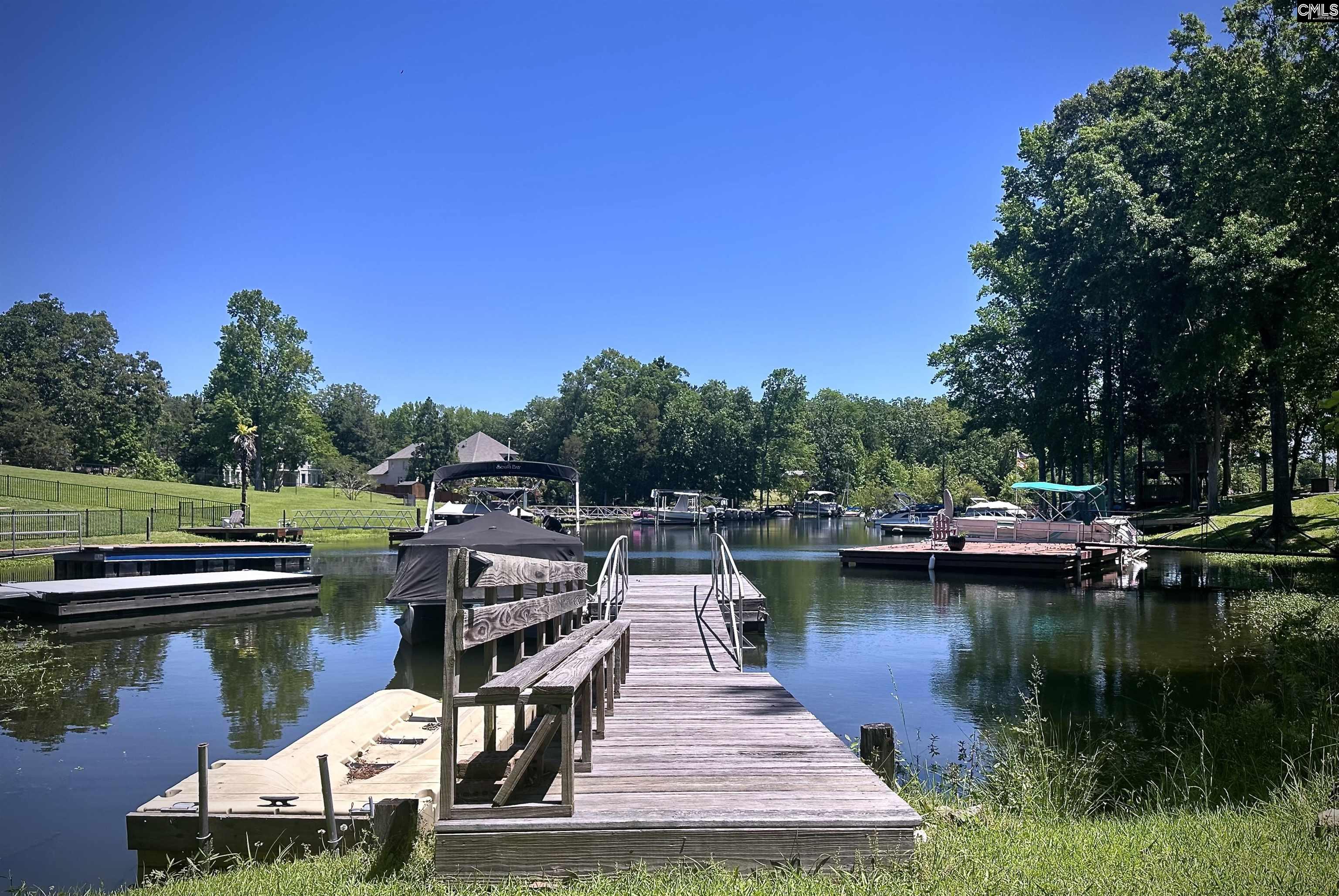 107 Old Sawmill Trail Chapin, SC 29036