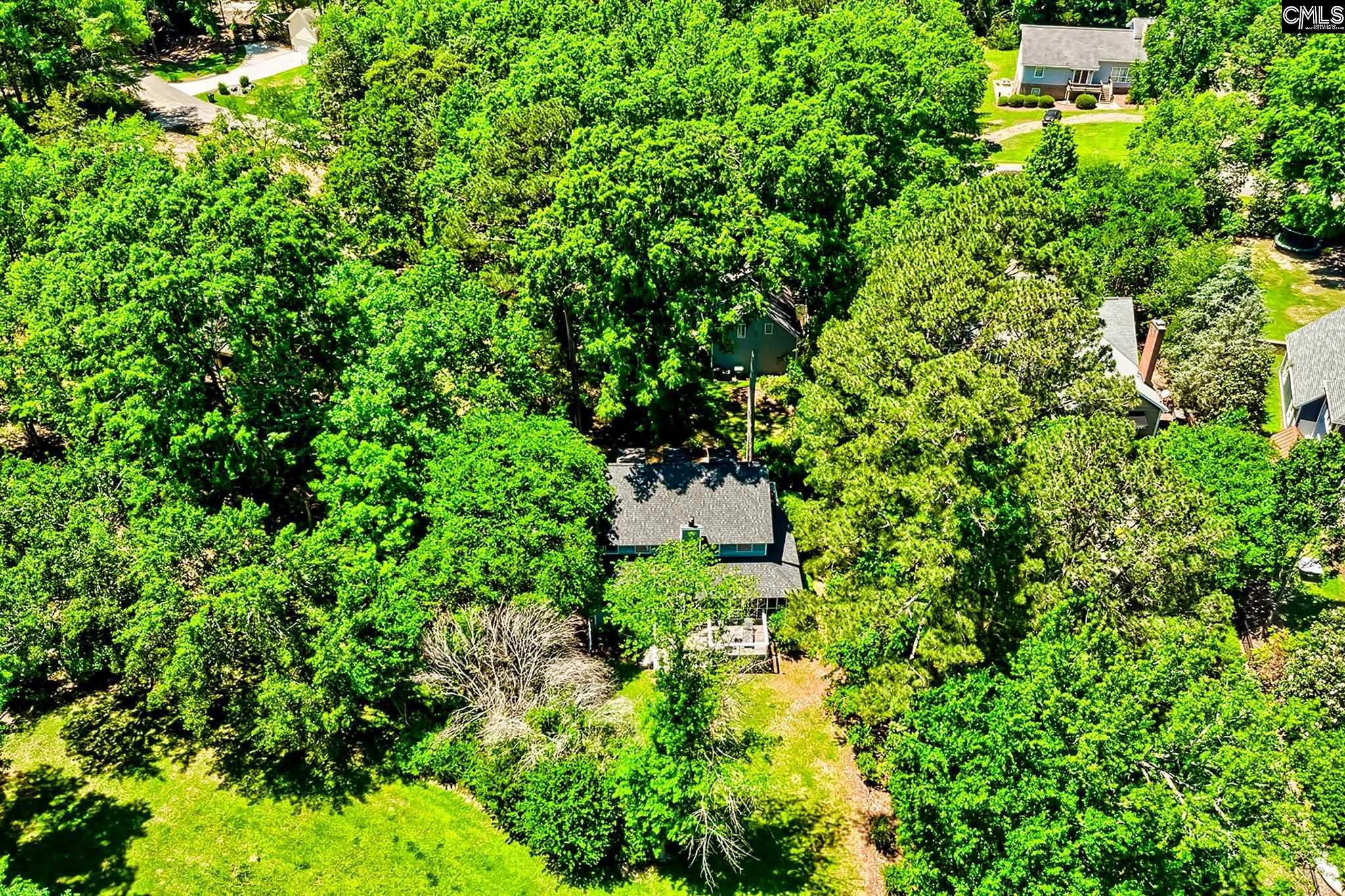 107 Old Sawmill Trail Chapin, SC 29036