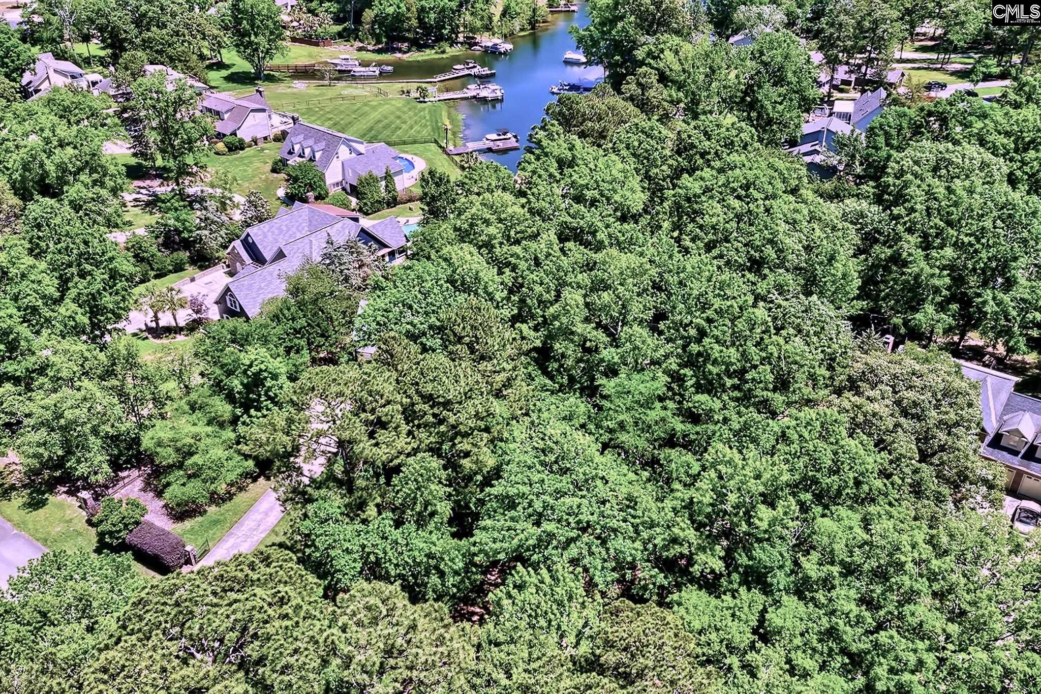 107 Old Sawmill Trail Chapin, SC 29036