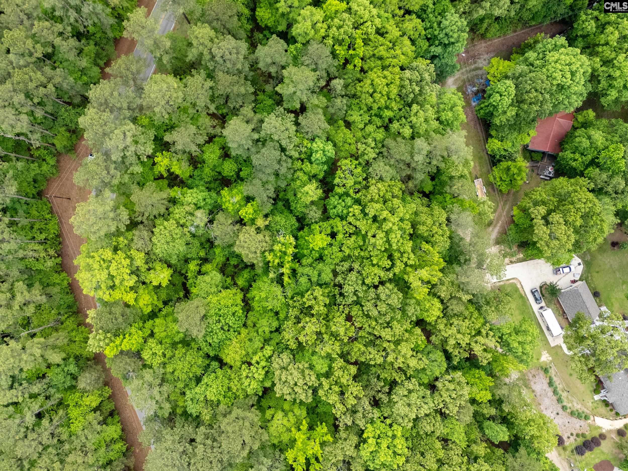 1427-3 Buck Hill Landing Road #LOT 3, Ridgeway, South Carolina image 17