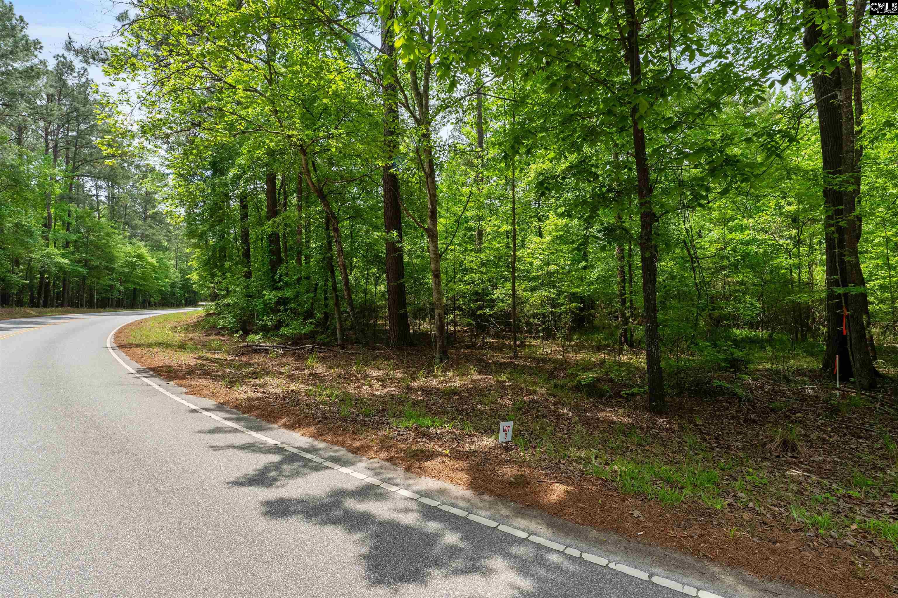 1427-3 Buck Hill Landing Road #LOT 3, Ridgeway, South Carolina image 3