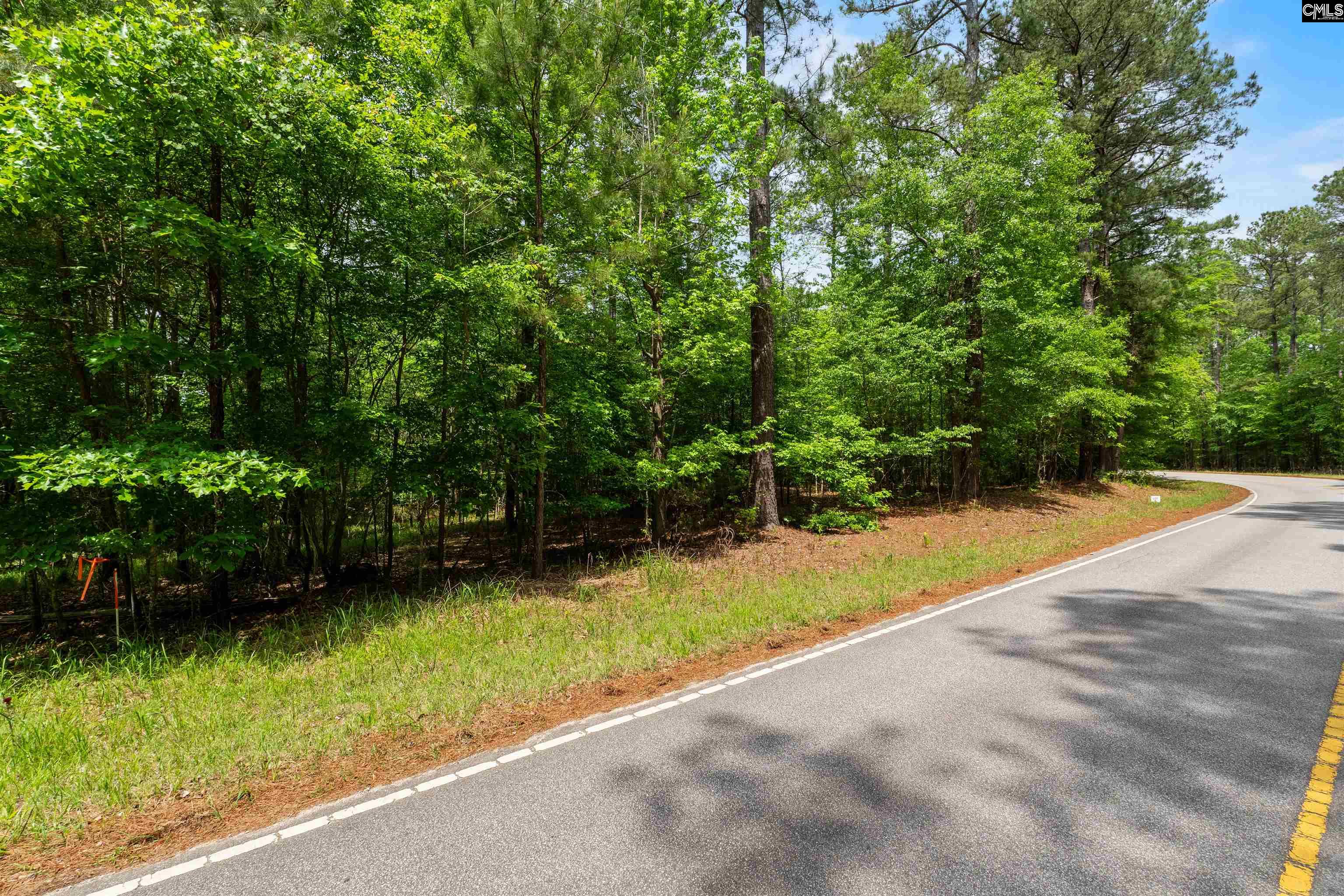 1427-3 Buck Hill Landing Road #LOT 3, Ridgeway, South Carolina image 28