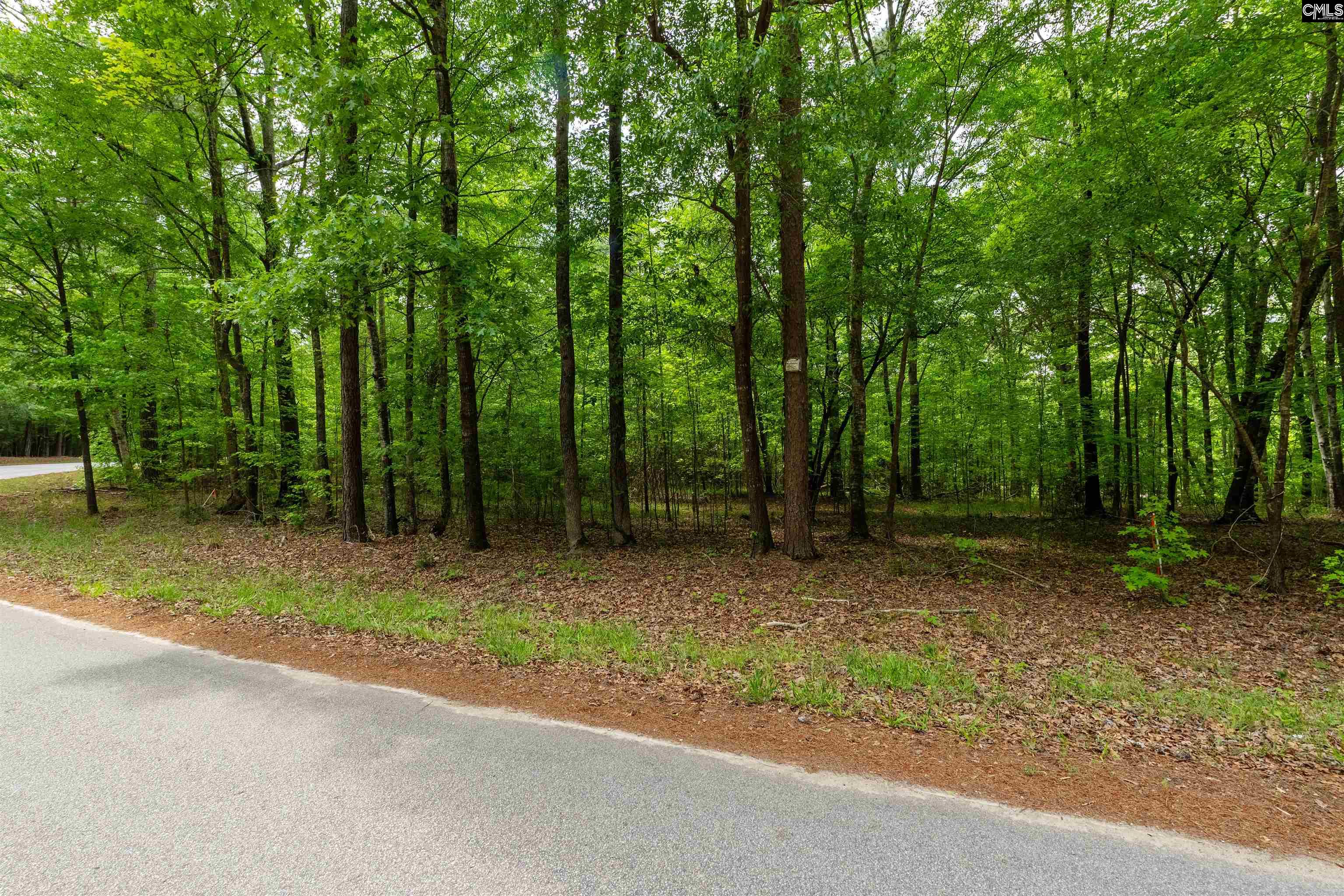 1427-3 Buck Hill Landing Road #LOT 3, Ridgeway, South Carolina image 29