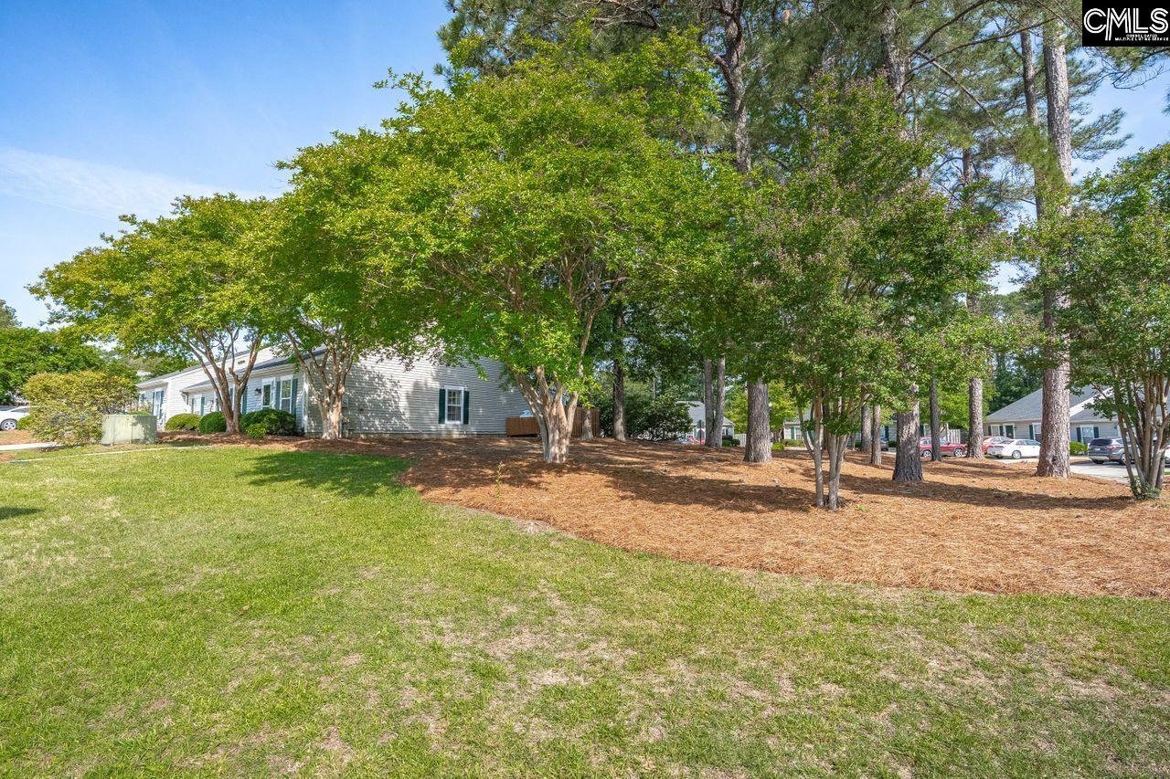187 Tawny Branch Road, Columbia, South Carolina image 30