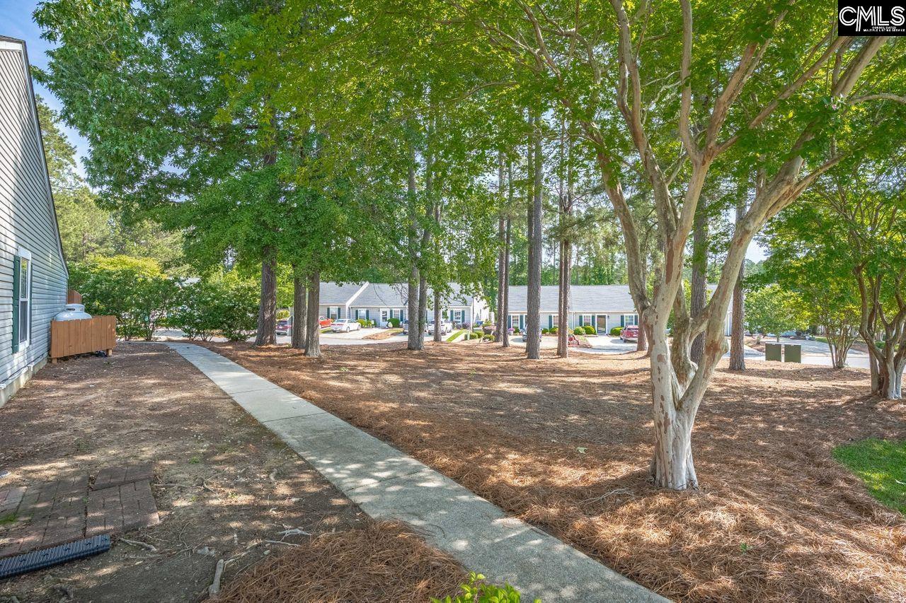 187 Tawny Branch Road, Columbia, South Carolina image 32