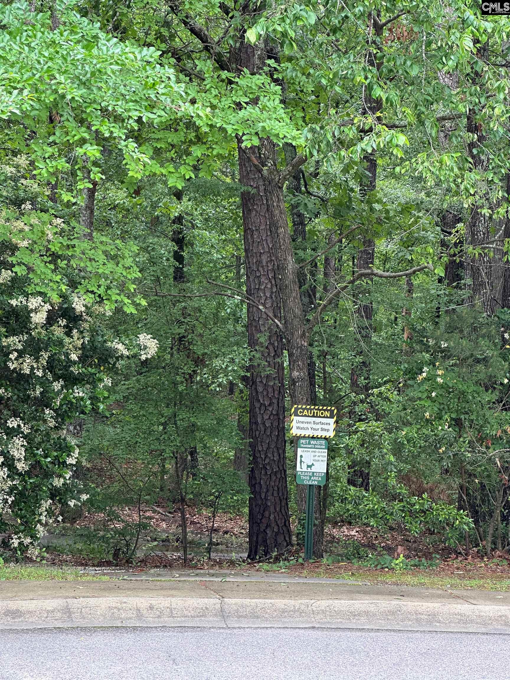 135 Windstone Drive #135, Columbia, South Carolina image 35