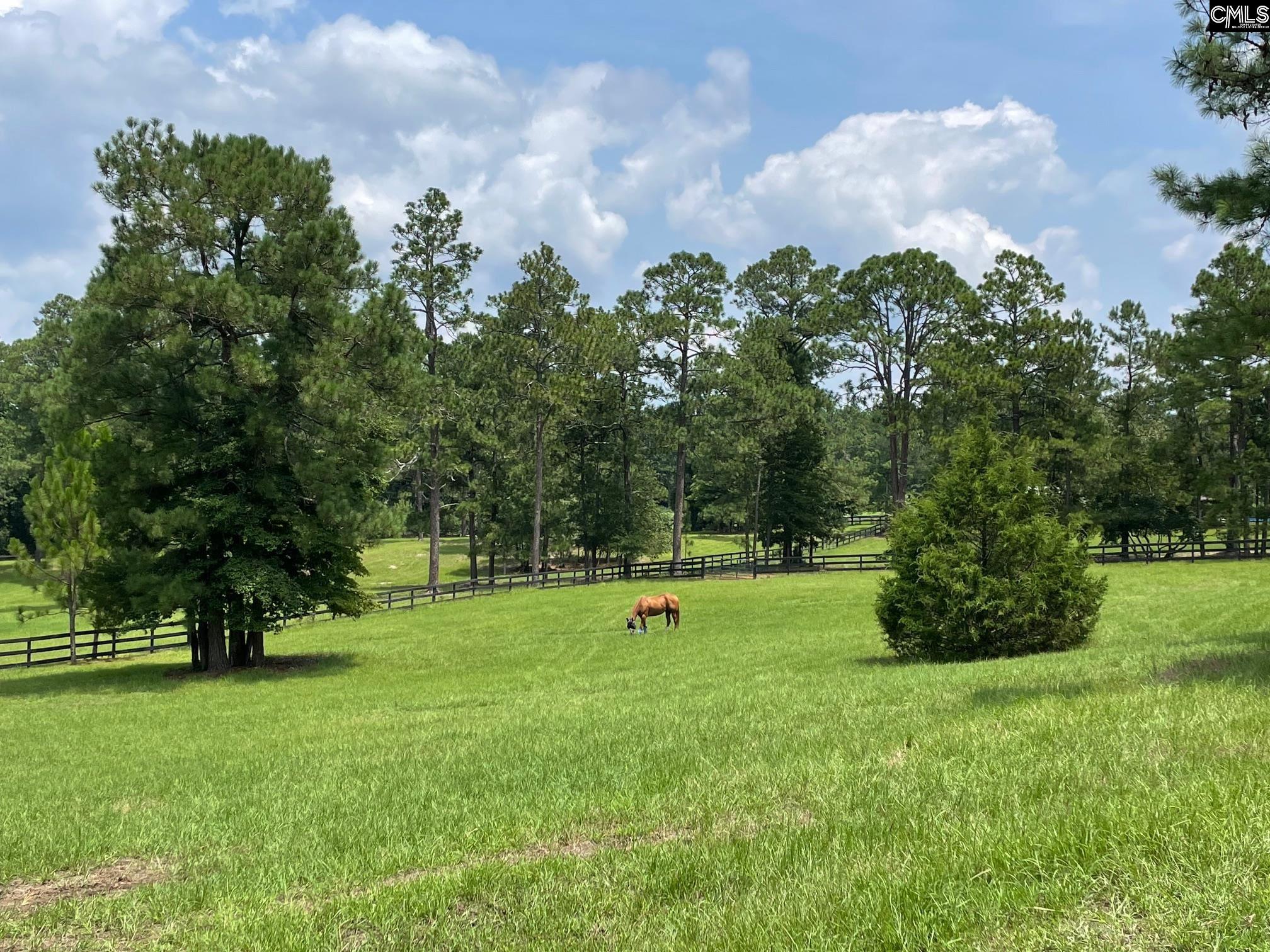 78 Foxwood Lane Camden, SC 29020