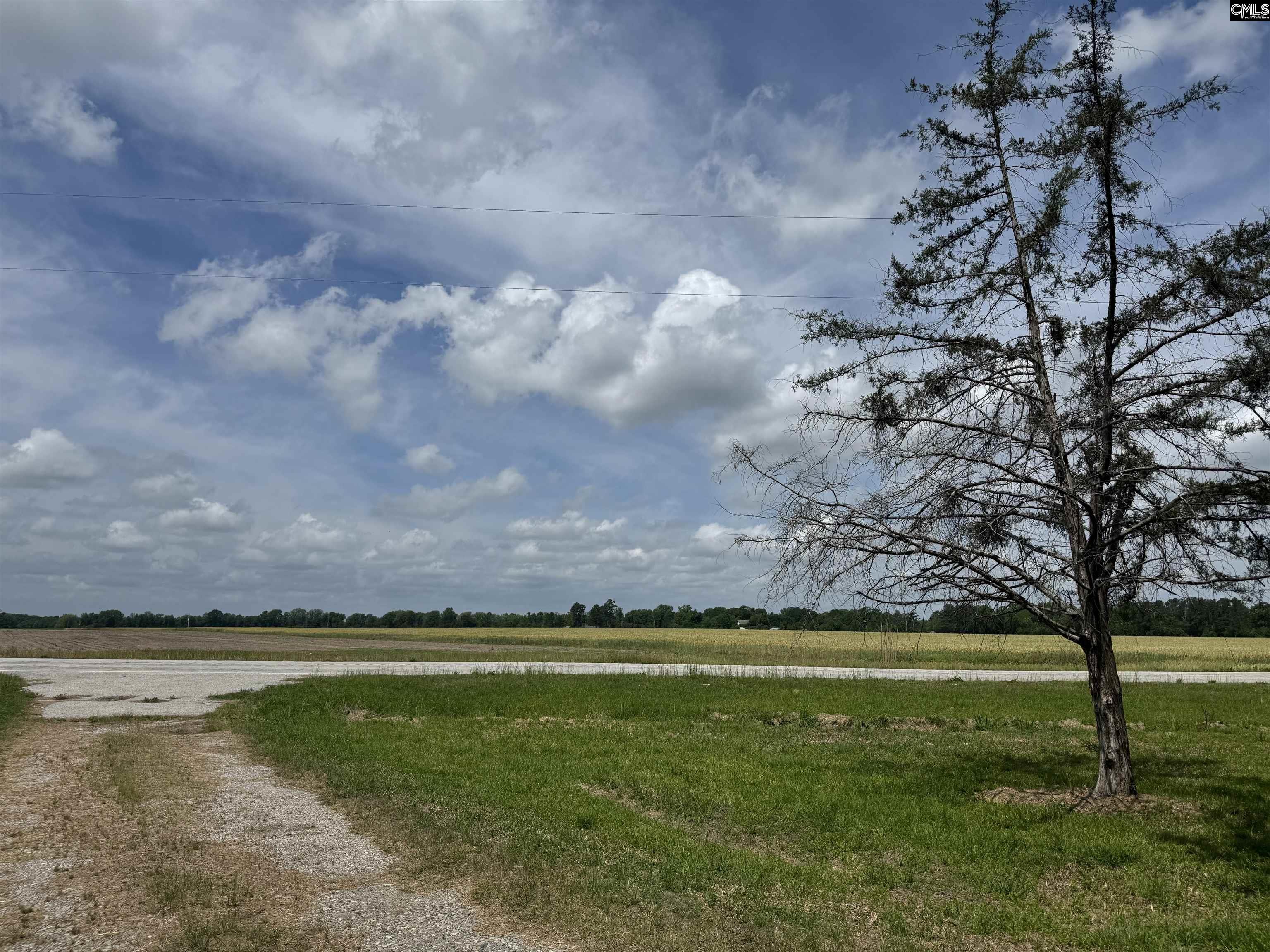3775 Oswego Highway, Sumter, South Carolina image 11