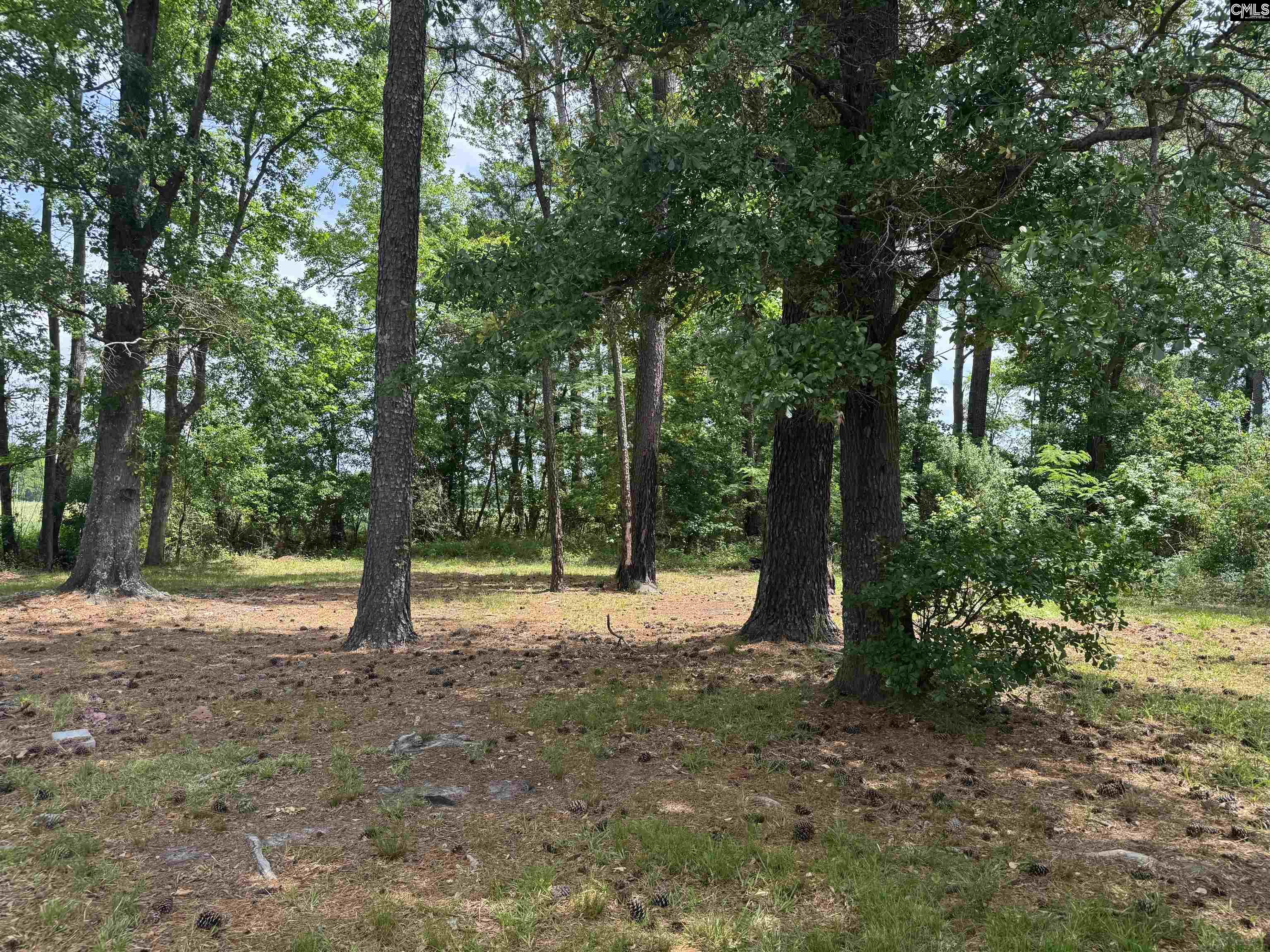 3775 Oswego Highway, Sumter, South Carolina image 4