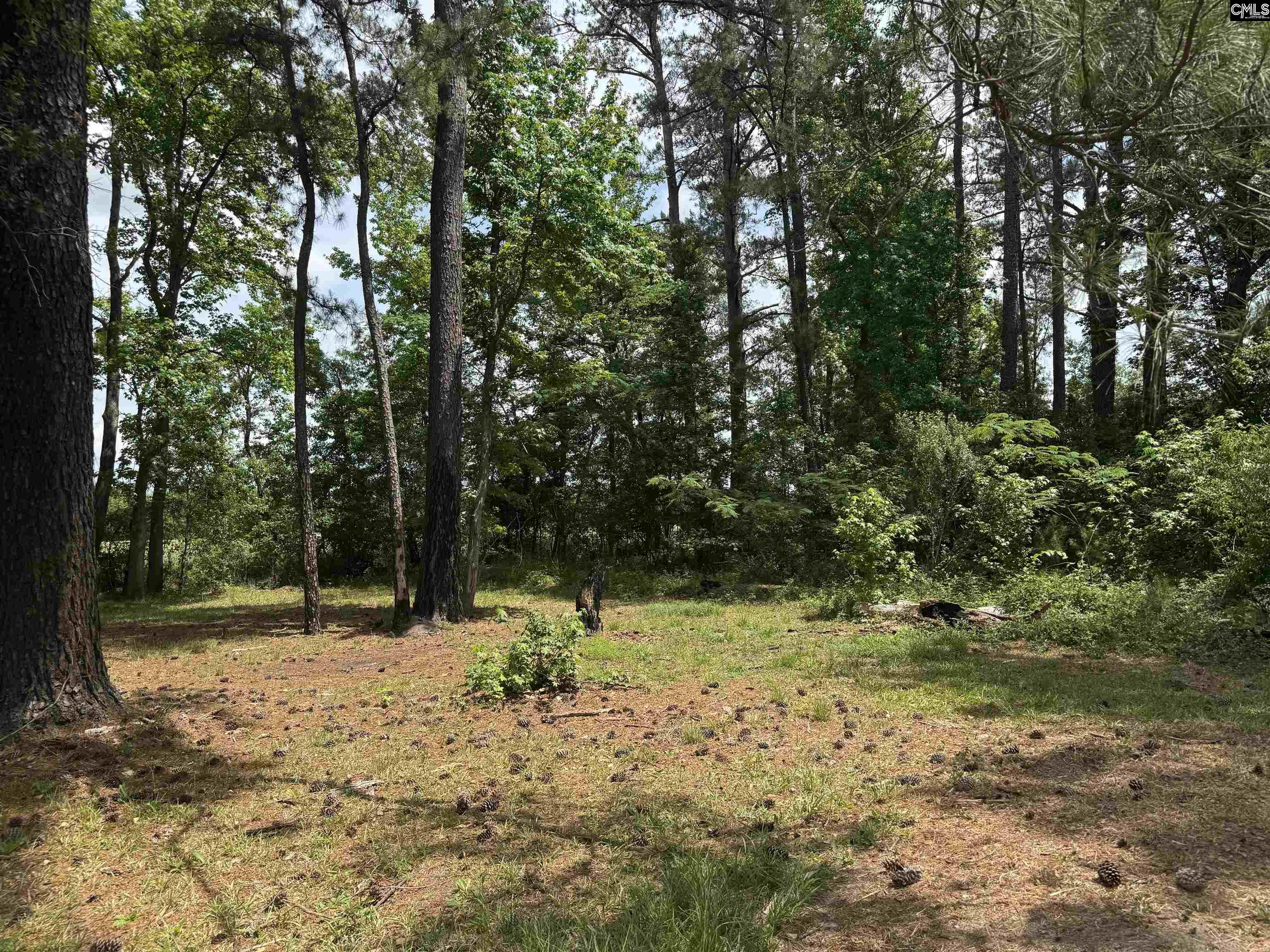 3775 Oswego Highway, Sumter, South Carolina image 5