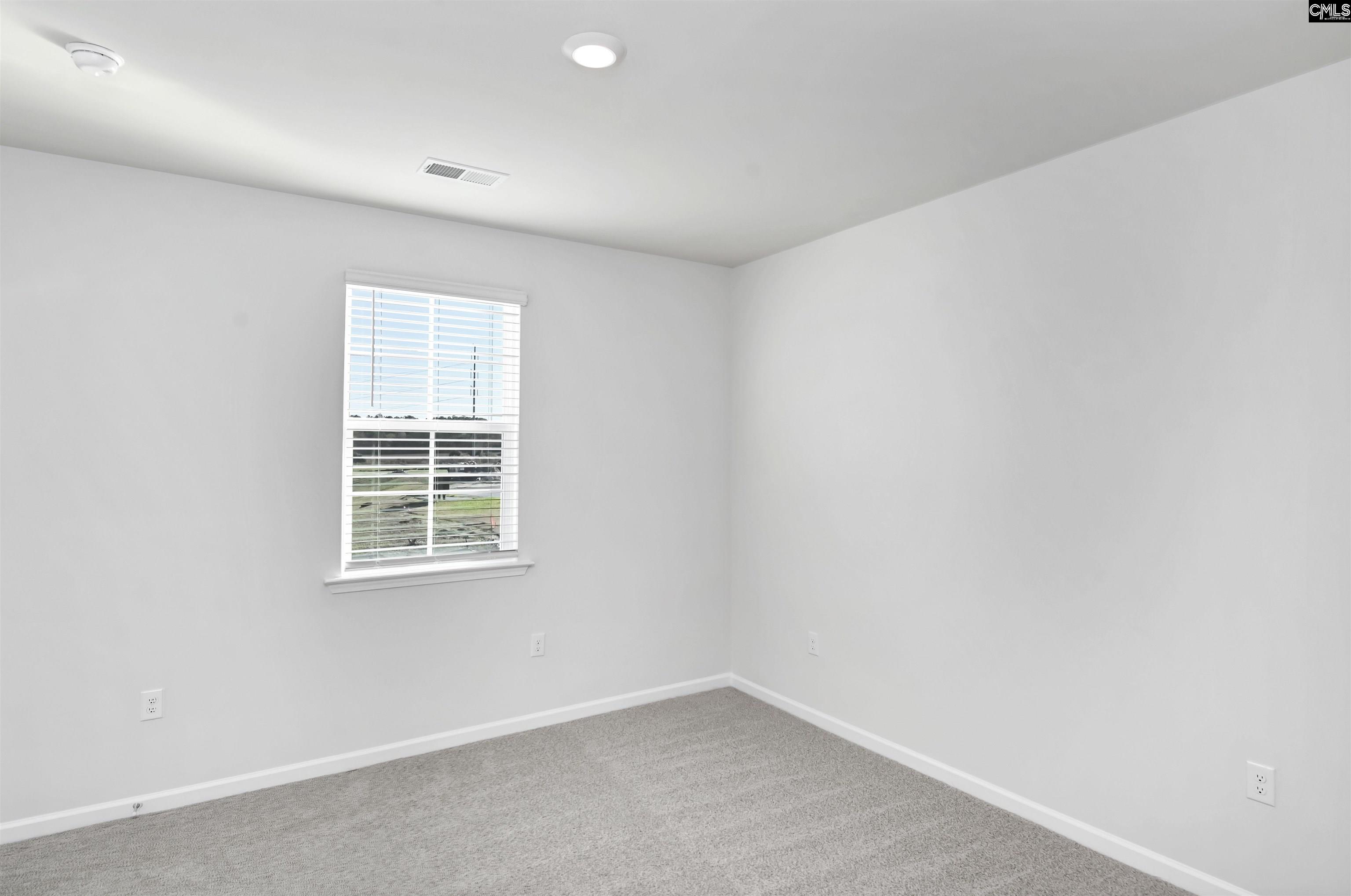 218 Blue Valley Court, Columbia, South Carolina image 12