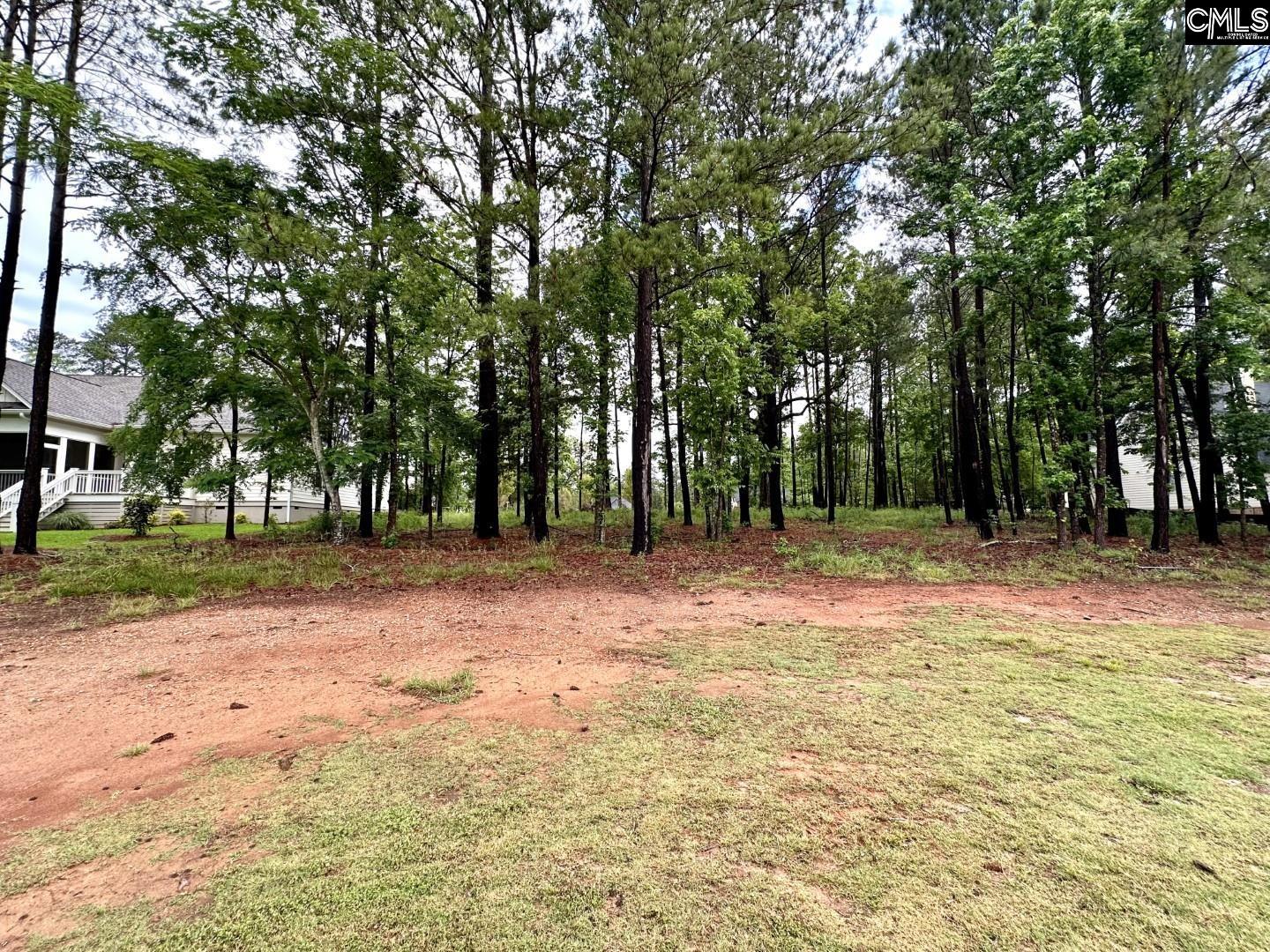 513 Misty Banks Drive, Chapin, South Carolina image 1