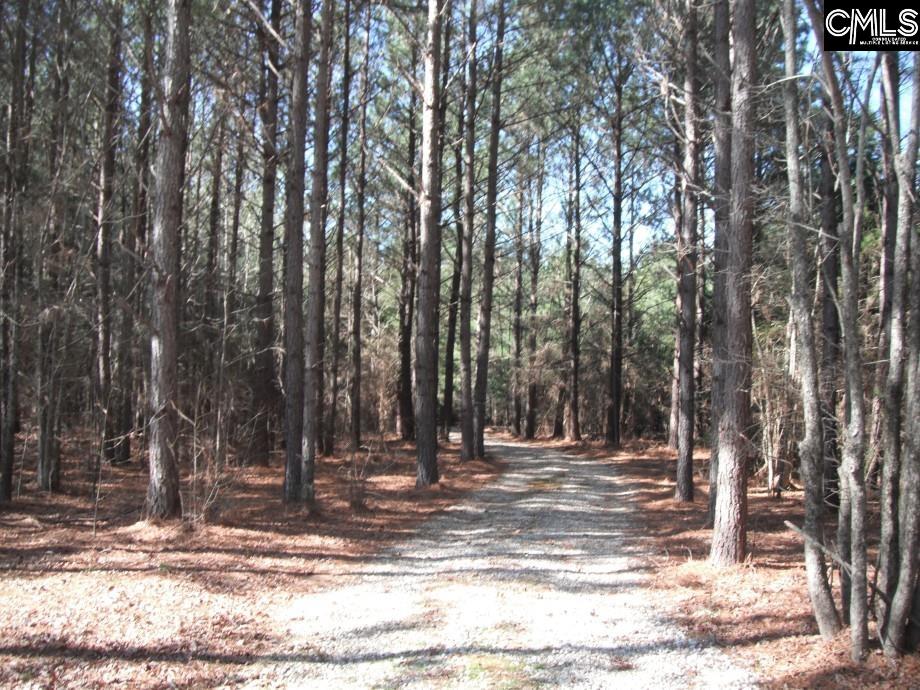 2852 Gaston Farm Road, Richburg, South Carolina image 41
