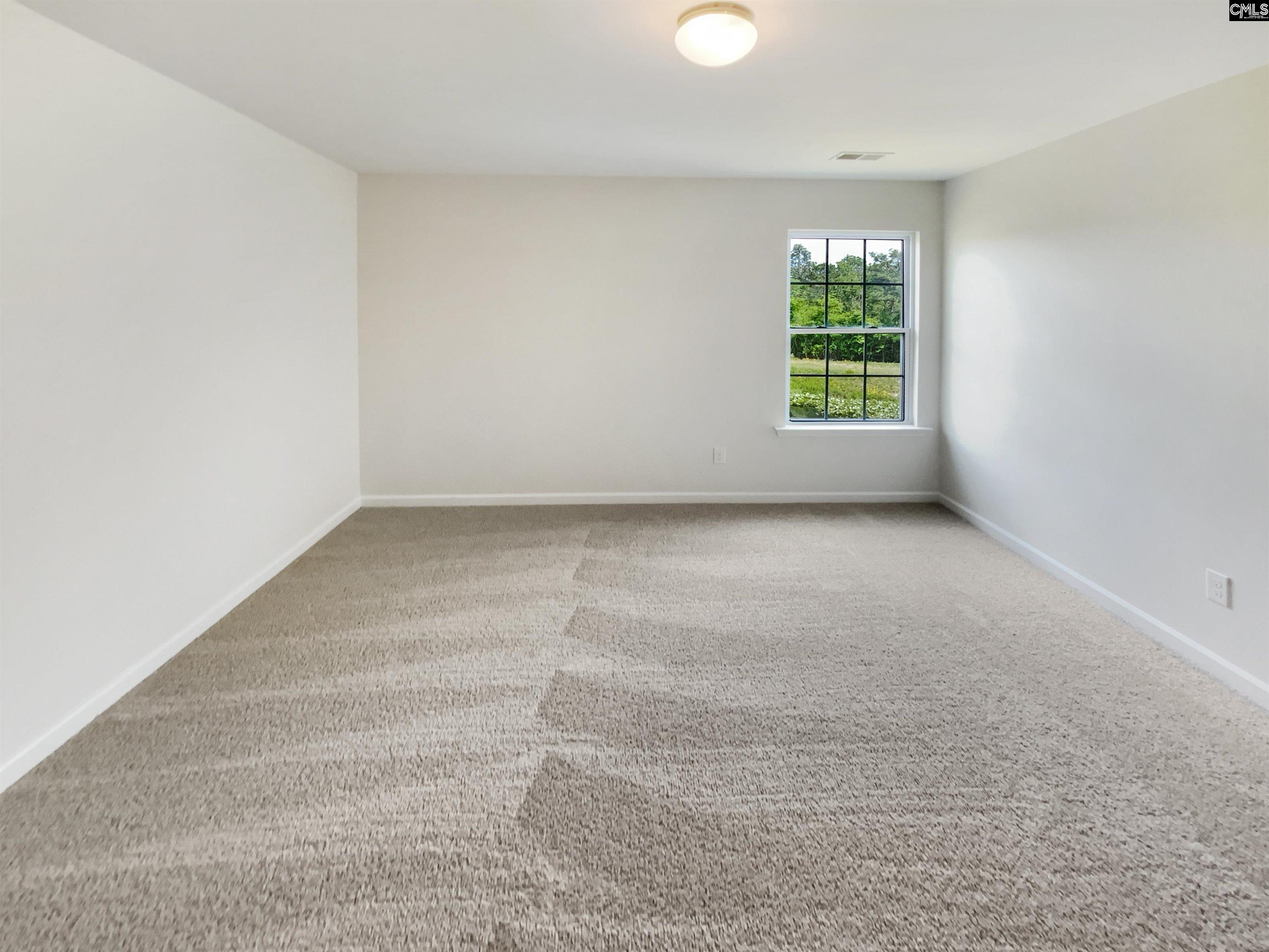320 Southbrook Drive, Lexington, South Carolina image 22