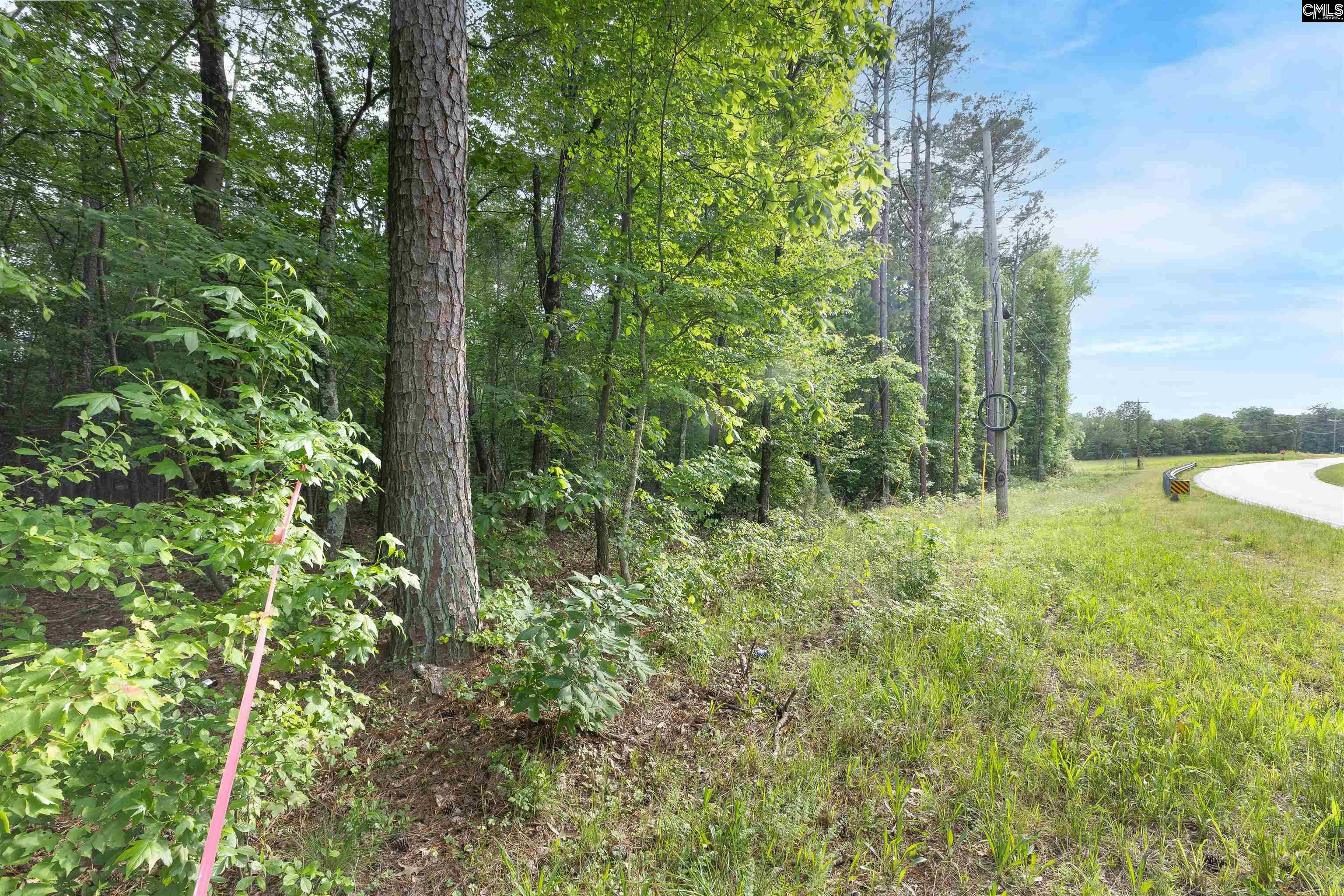 TBD St. Peters Church Road, Chapin, South Carolina image 1