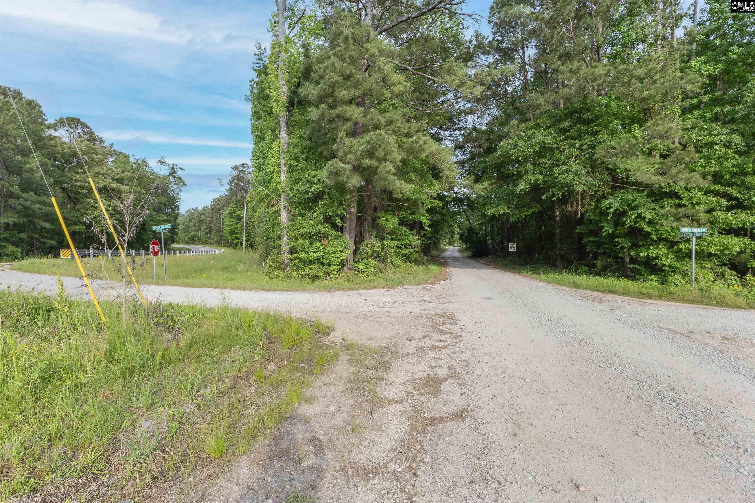 TBD St. Peters Church Road, Chapin, South Carolina image 3