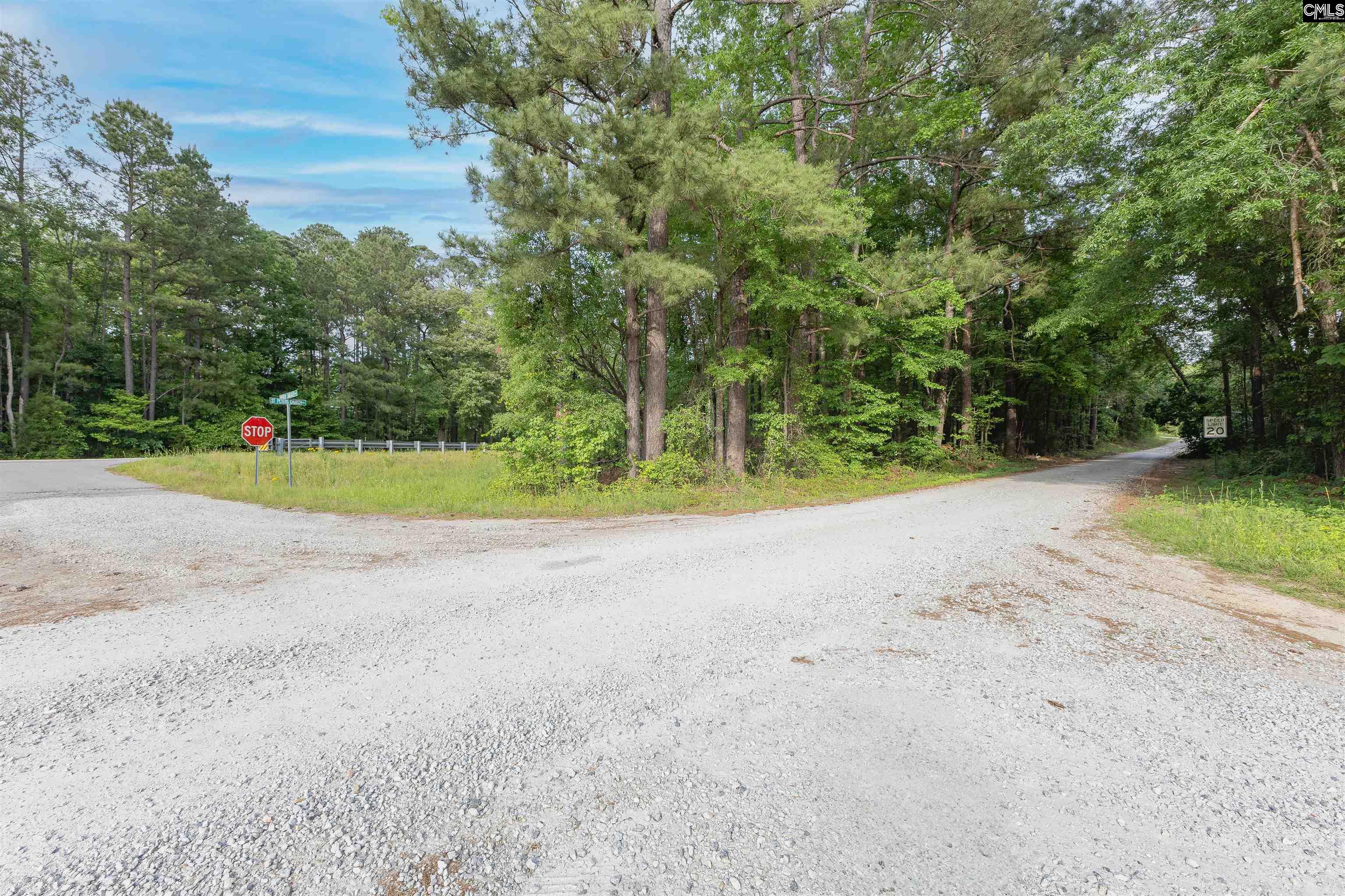 TBD St. Peters Church Road, Chapin, South Carolina image 4