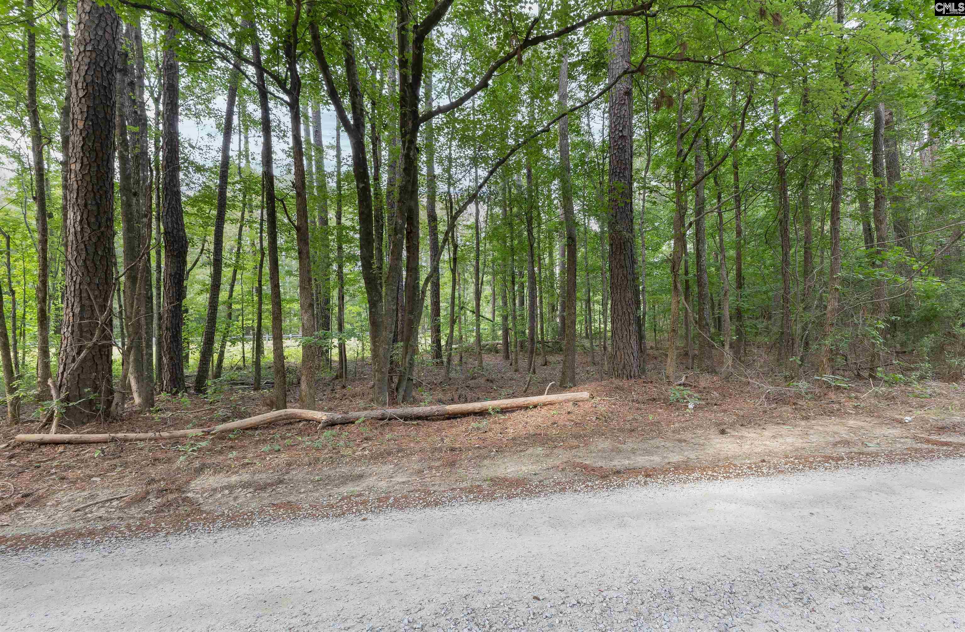 TBD St. Peters Church Road, Chapin, South Carolina image 5