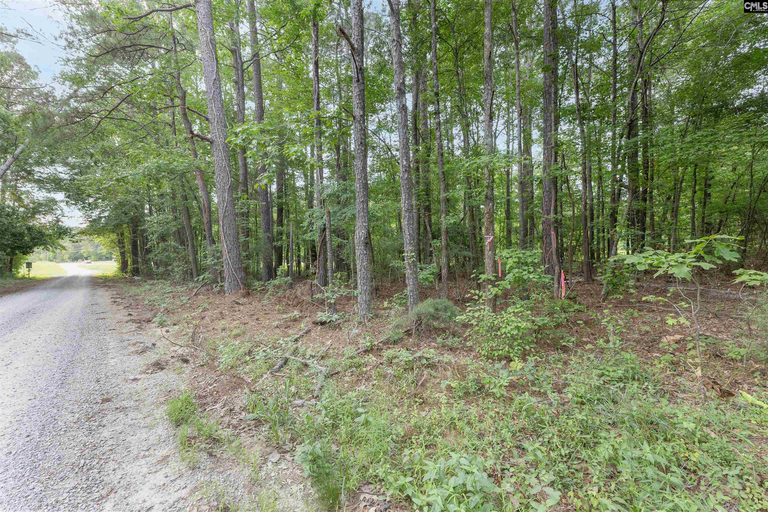 TBD St. Peters Church Road, Chapin, South Carolina image 6