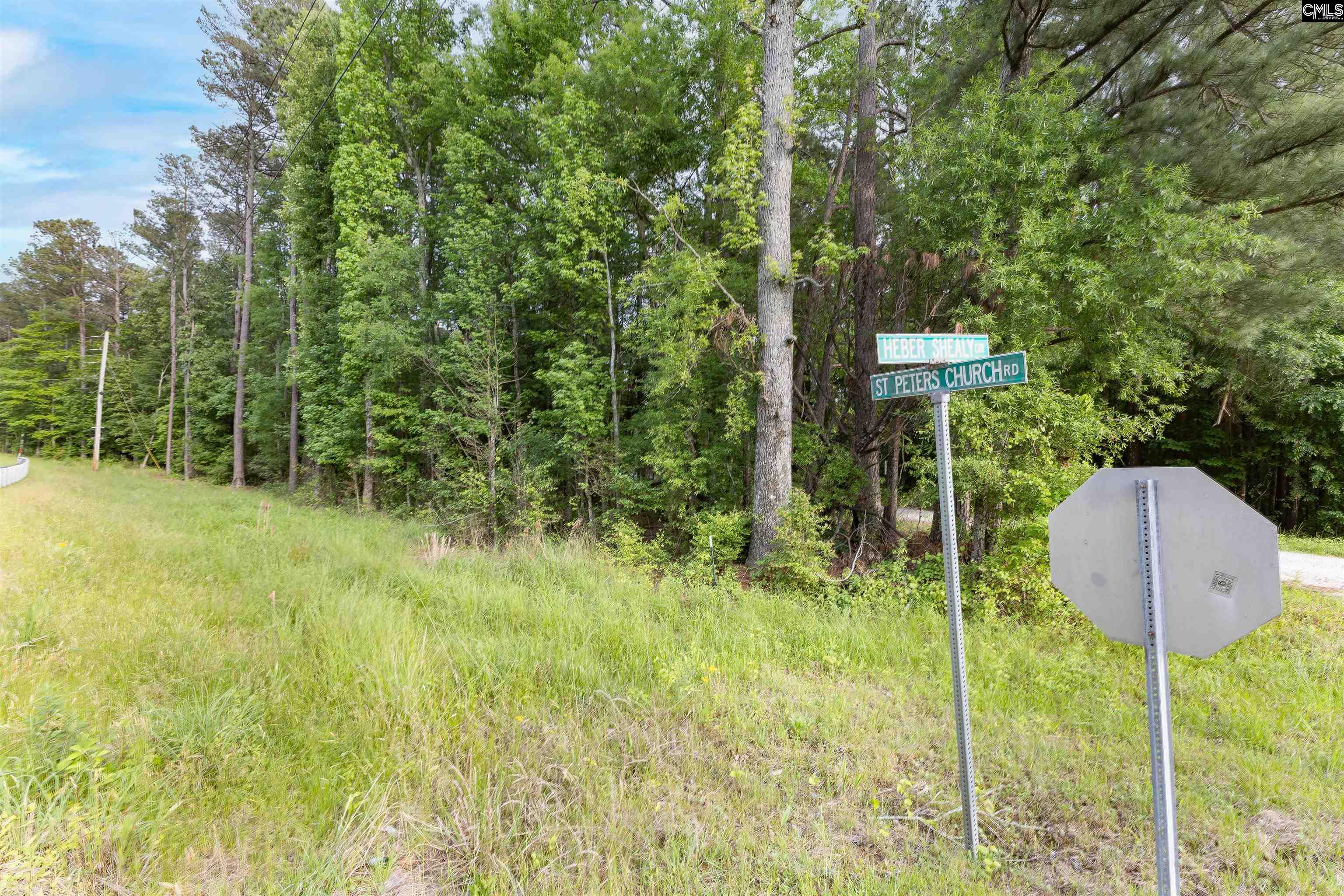 TBD St. Peters Church Road Chapin, SC 29036