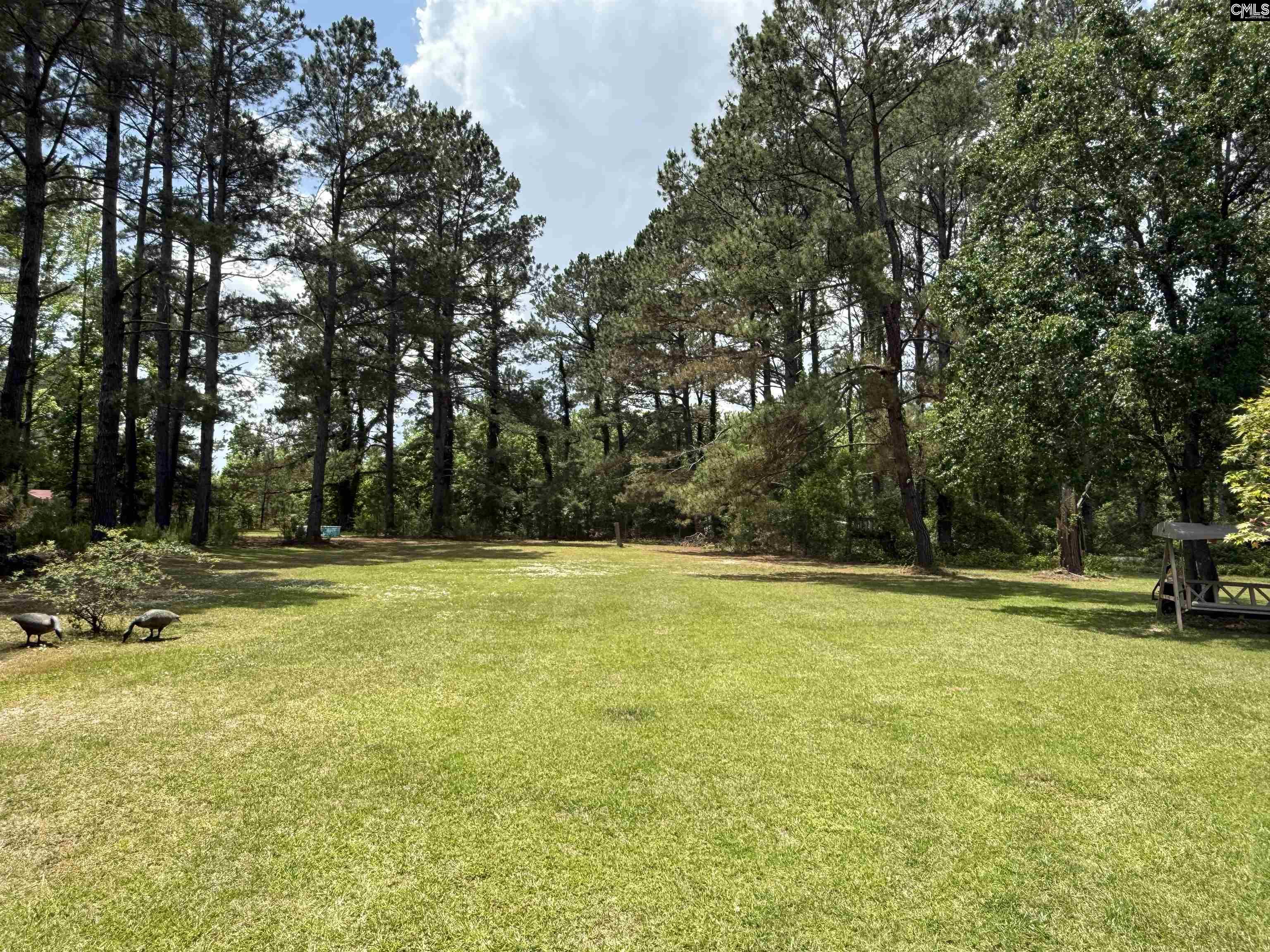 840 Broxton Bridge Road, Bamberg, South Carolina image 4