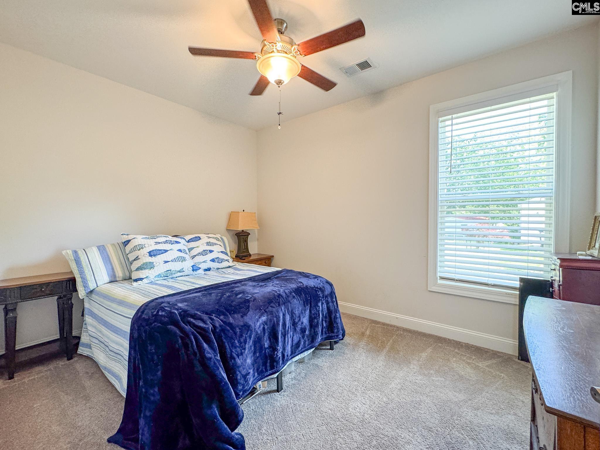 118 Bat Drive, Saluda, South Carolina image 14