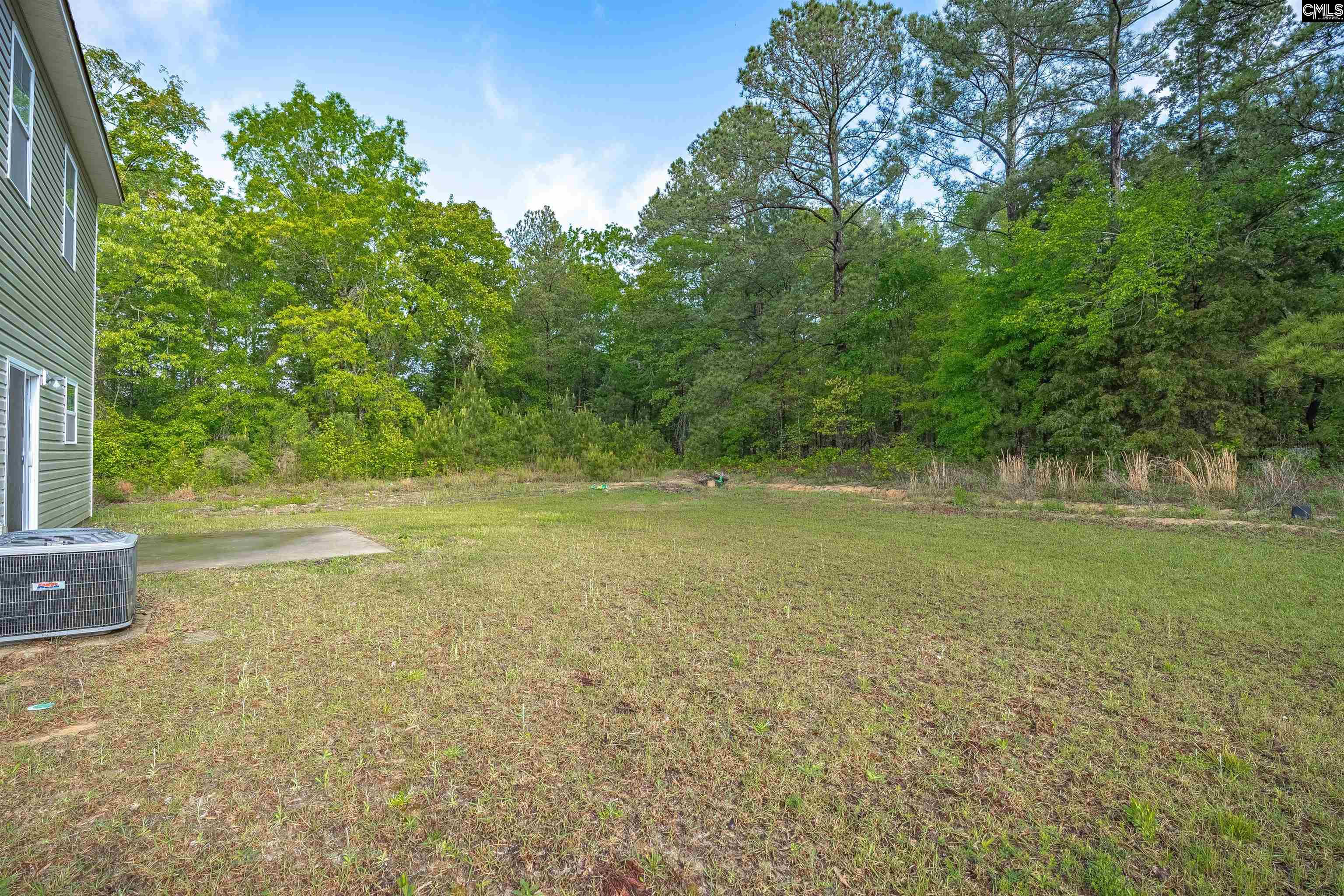 1081 Old Town Road, Irmo, South Carolina image 8