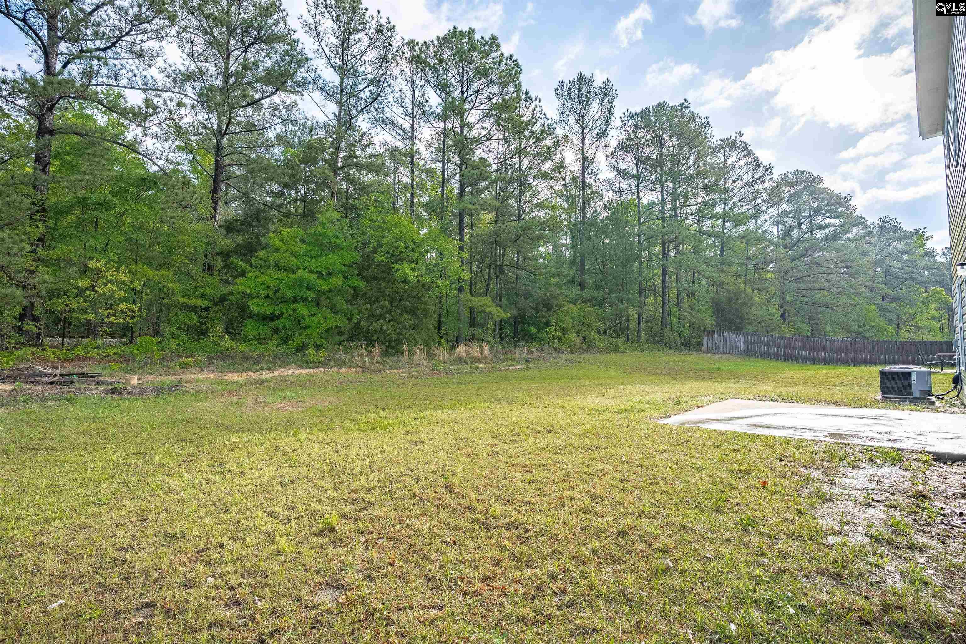 1081 Old Town Road, Irmo, South Carolina image 9
