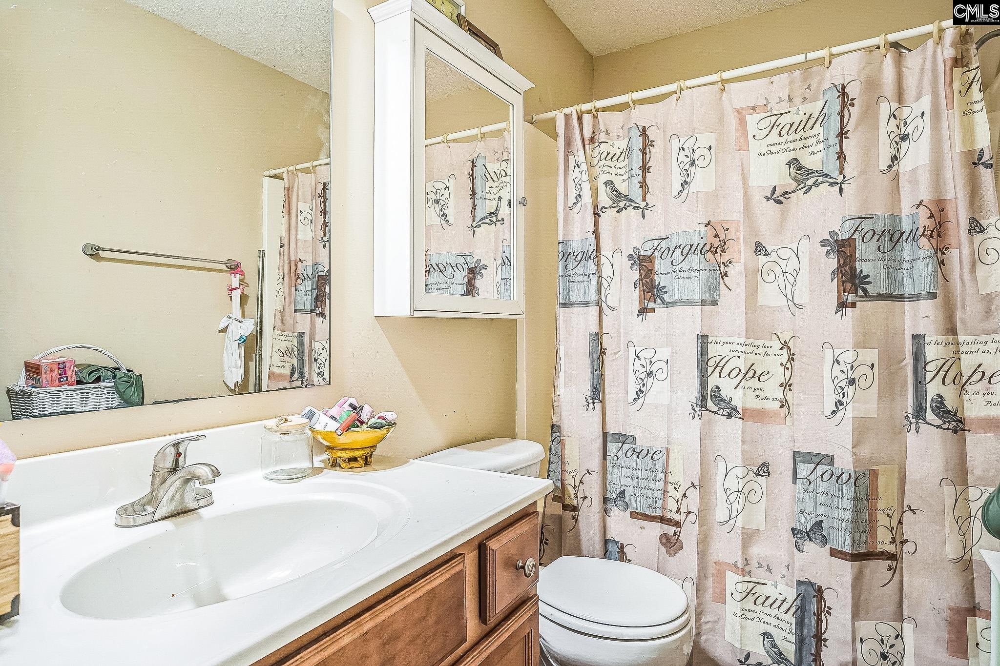 431 Colony Lakes Drive, Lexington, South Carolina image 12