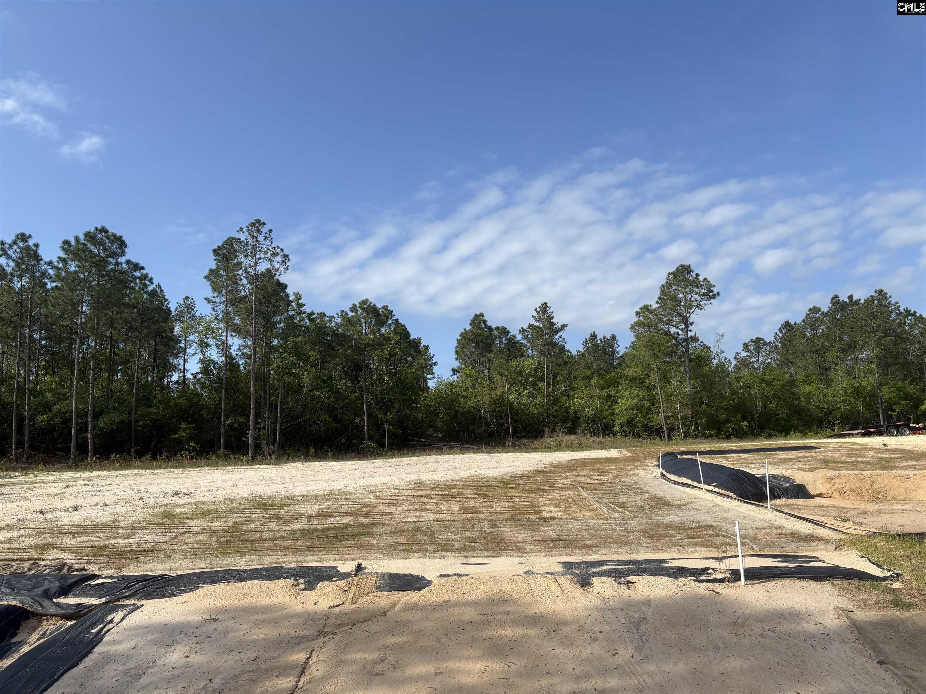 656 Daisy Street, Batesburg, South Carolina image 11