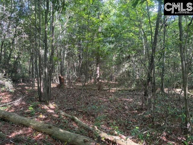 656 Daisy Street, Batesburg, South Carolina image 14