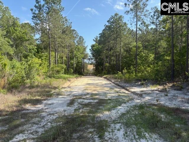 656 Daisy Street, Batesburg, South Carolina image 15