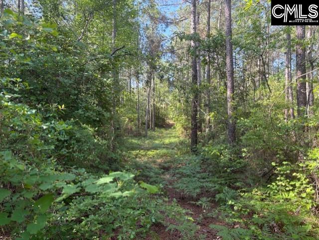 656 Daisy Street, Batesburg, South Carolina image 16