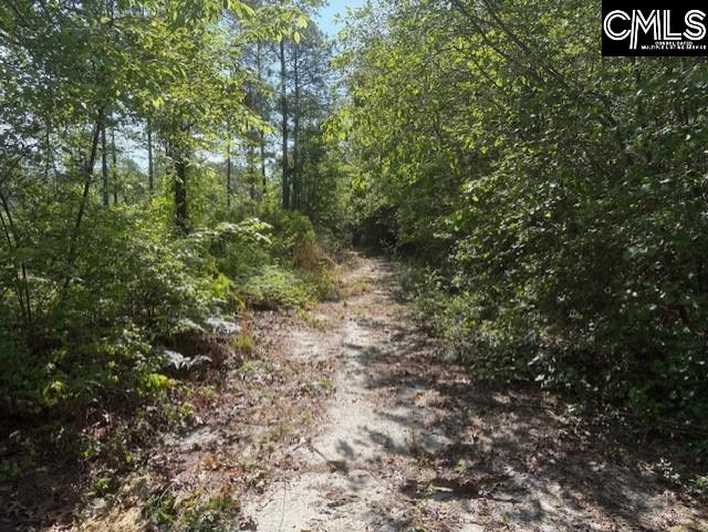 656 Daisy Street, Batesburg, South Carolina image 17