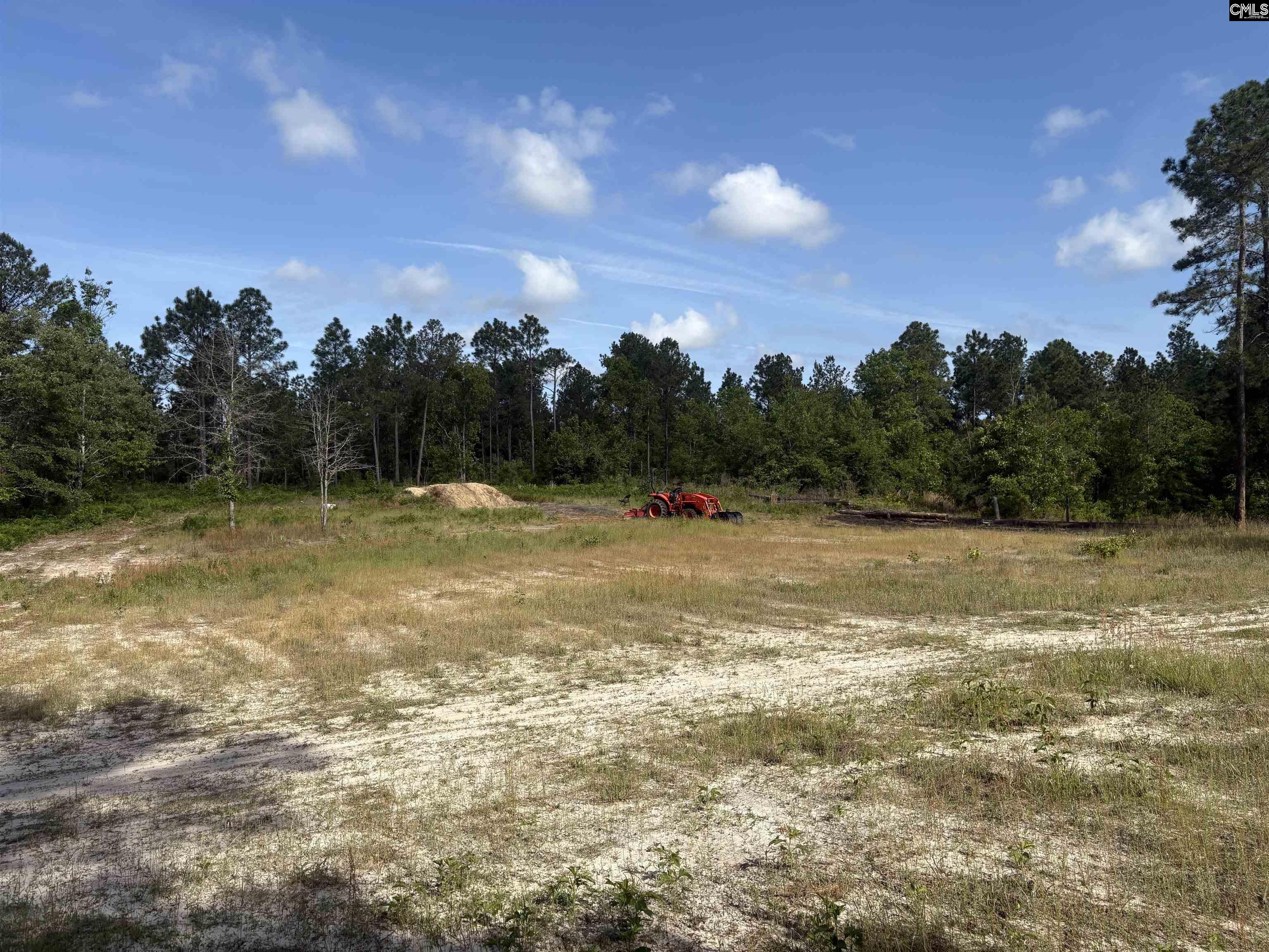 656 Daisy Street, Batesburg, South Carolina image 3