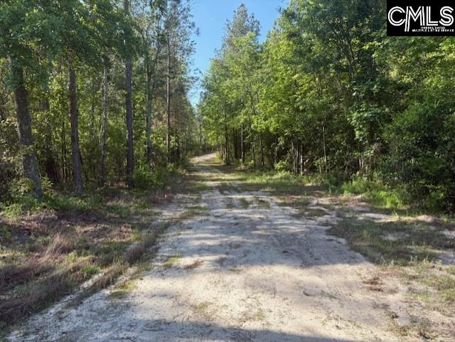 656 Daisy Street, Batesburg, South Carolina image 4