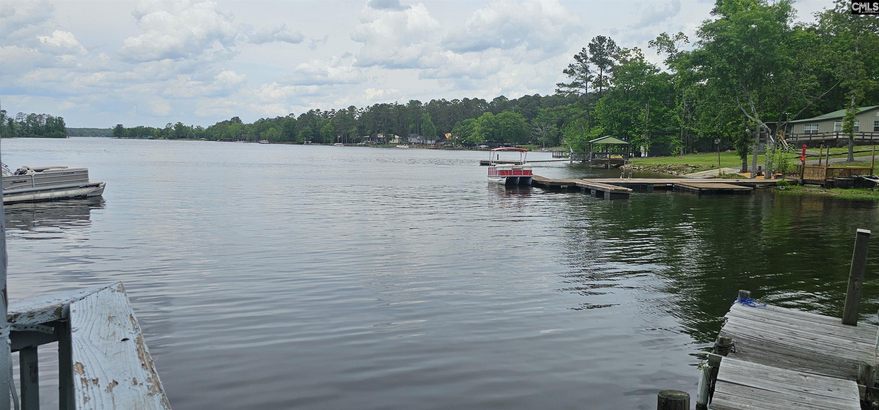 1680 Wildwood Cove Road, Leesville, South Carolina image 6