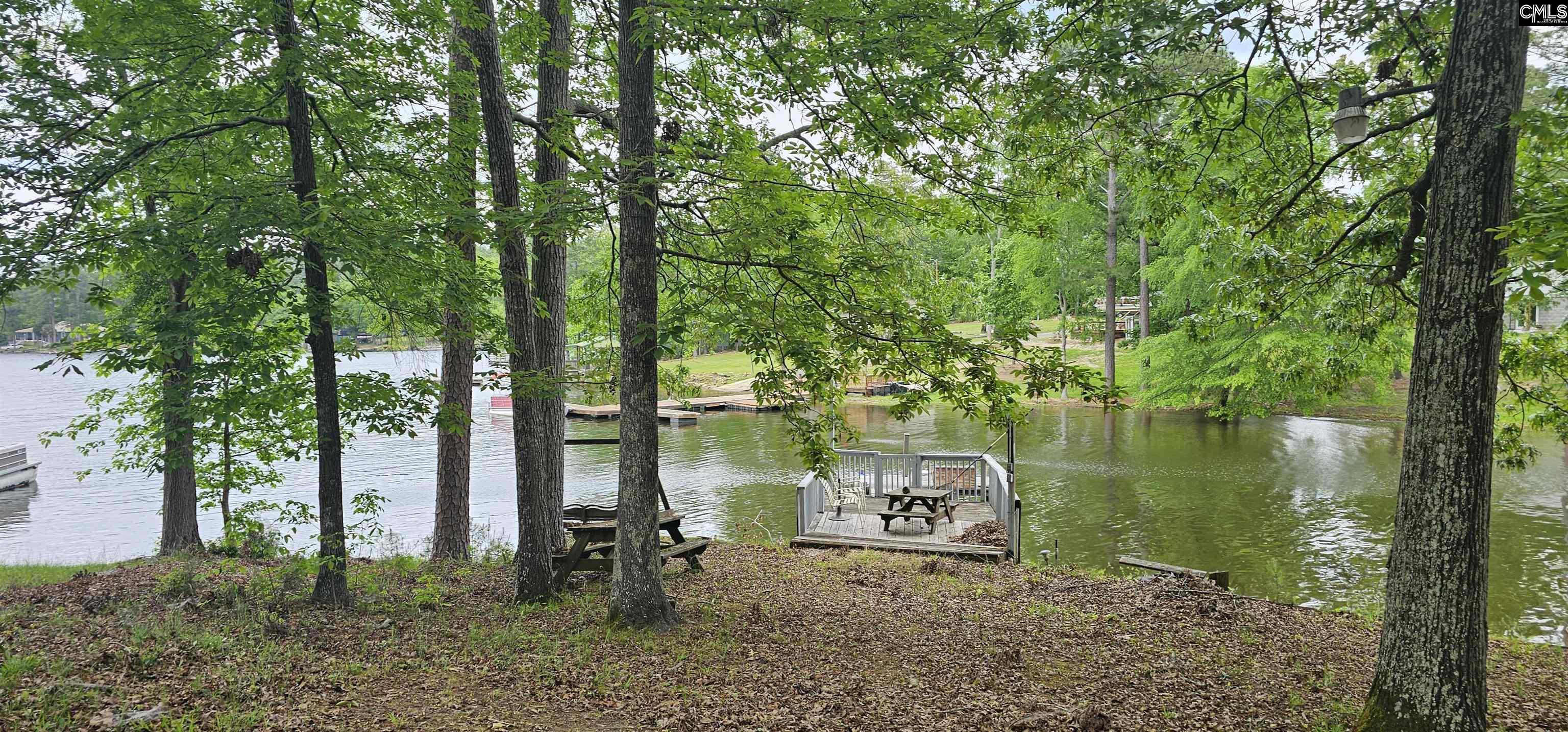 1680 Wildwood Cove Road, Leesville, South Carolina image 7
