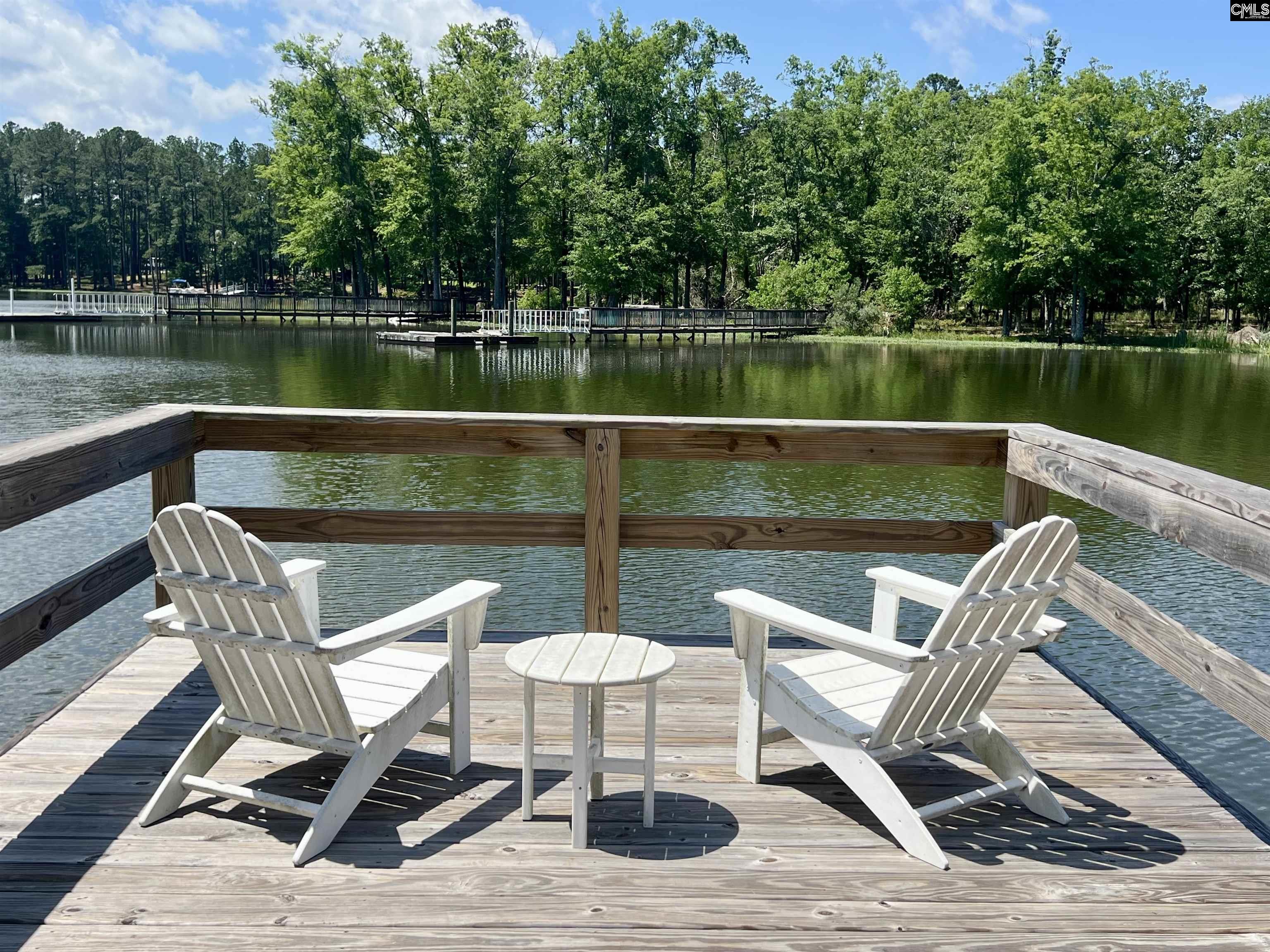 41 Shoreview Drive UNIT #41 Prosperity, SC 29127