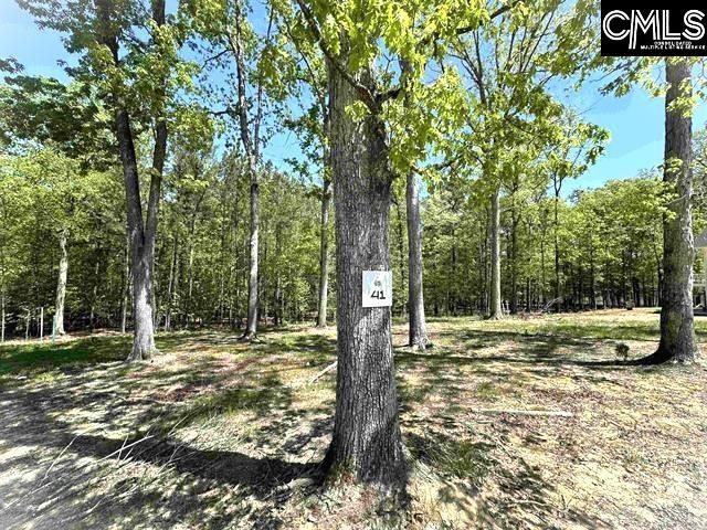 41 Shoreview Drive, Prosperity, South Carolina image 3