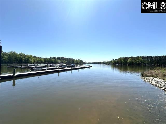 41 Shoreview Drive, Prosperity, South Carolina image 4
