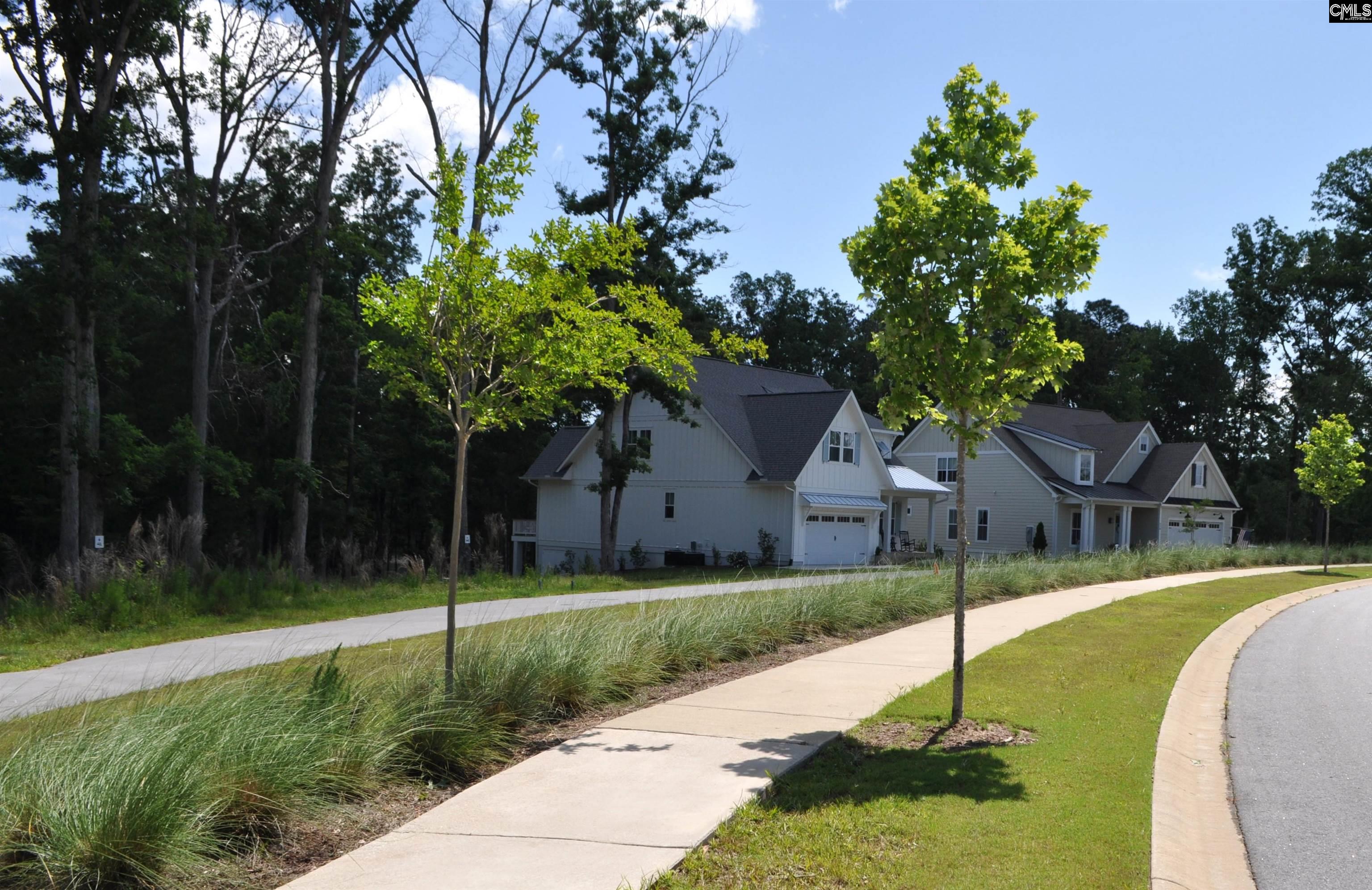 41 Shoreview Drive UNIT #41 Prosperity, SC 29127