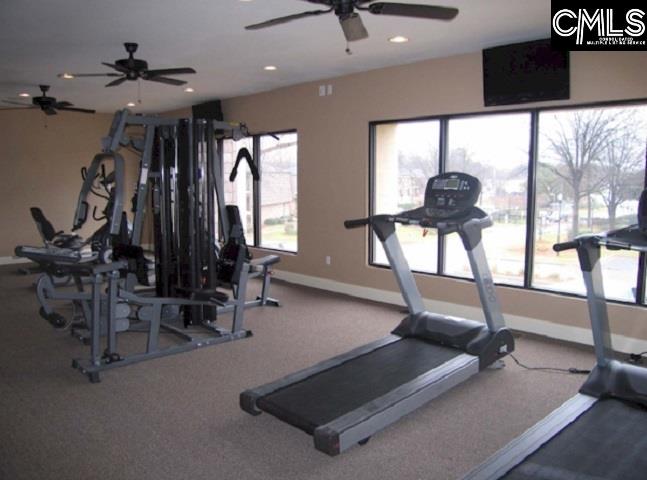 picture-gallery