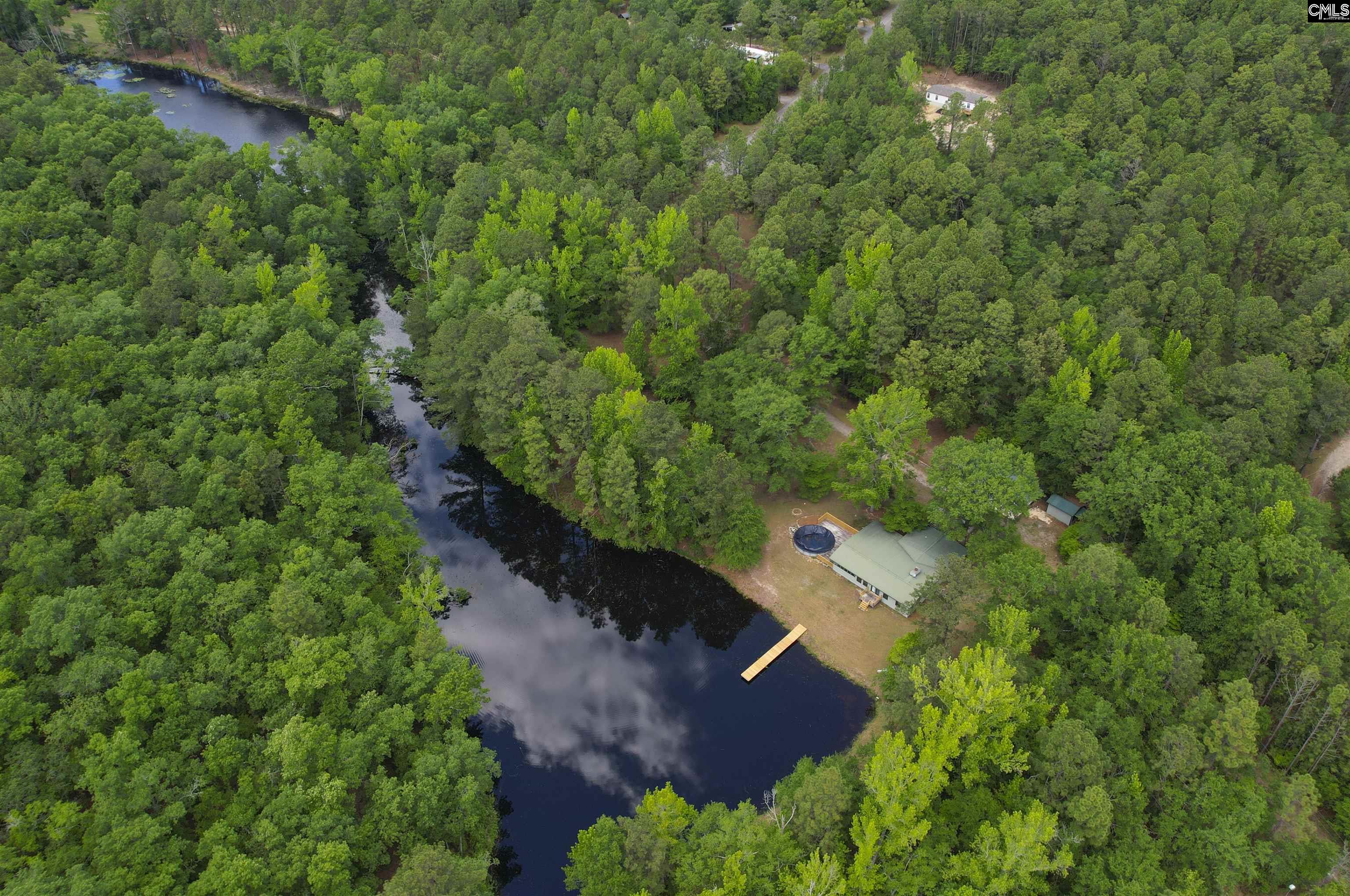 199 Dowd Drive, Gaston, South Carolina image 1