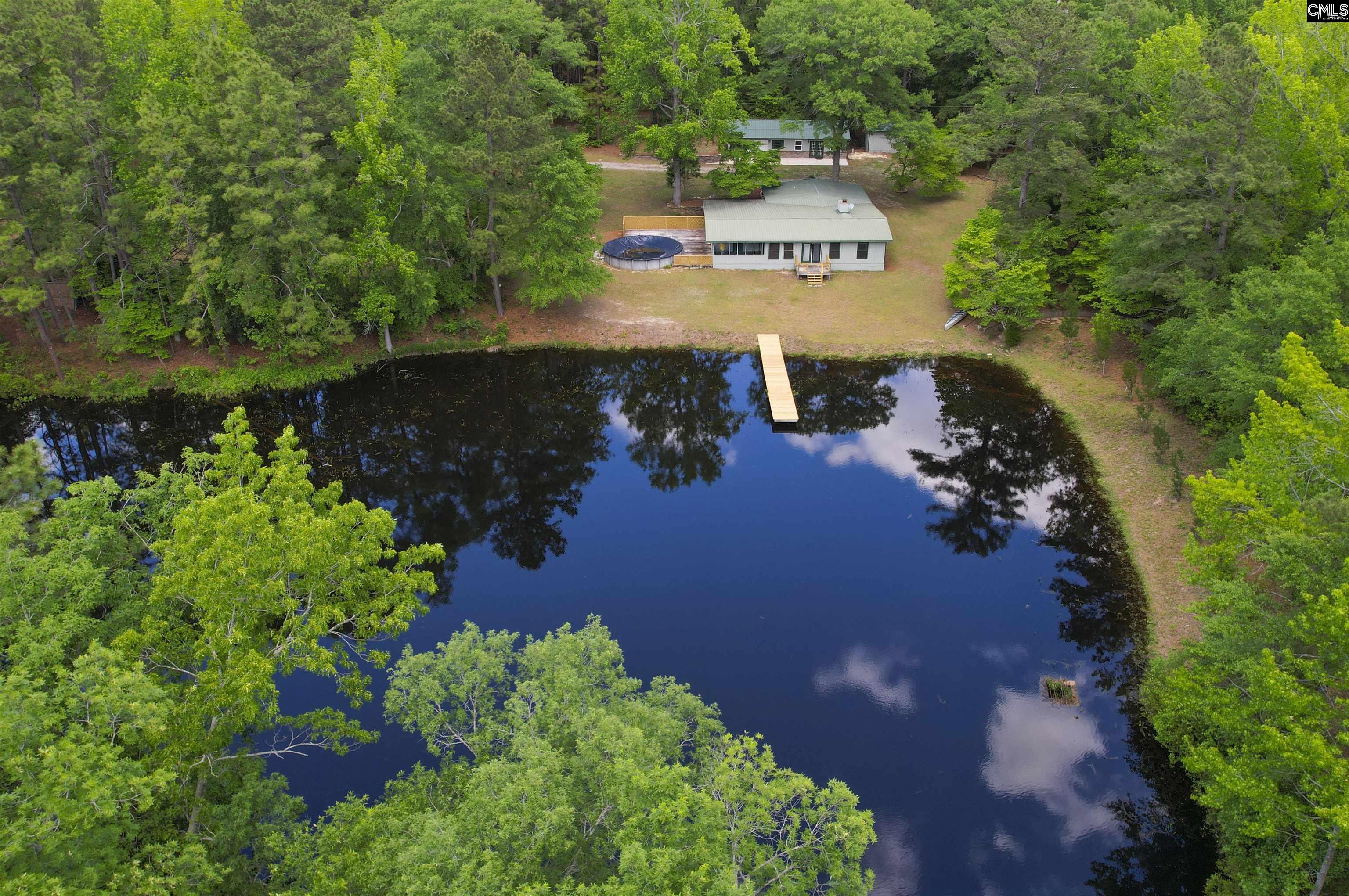199 Dowd Drive, Gaston, South Carolina image 3