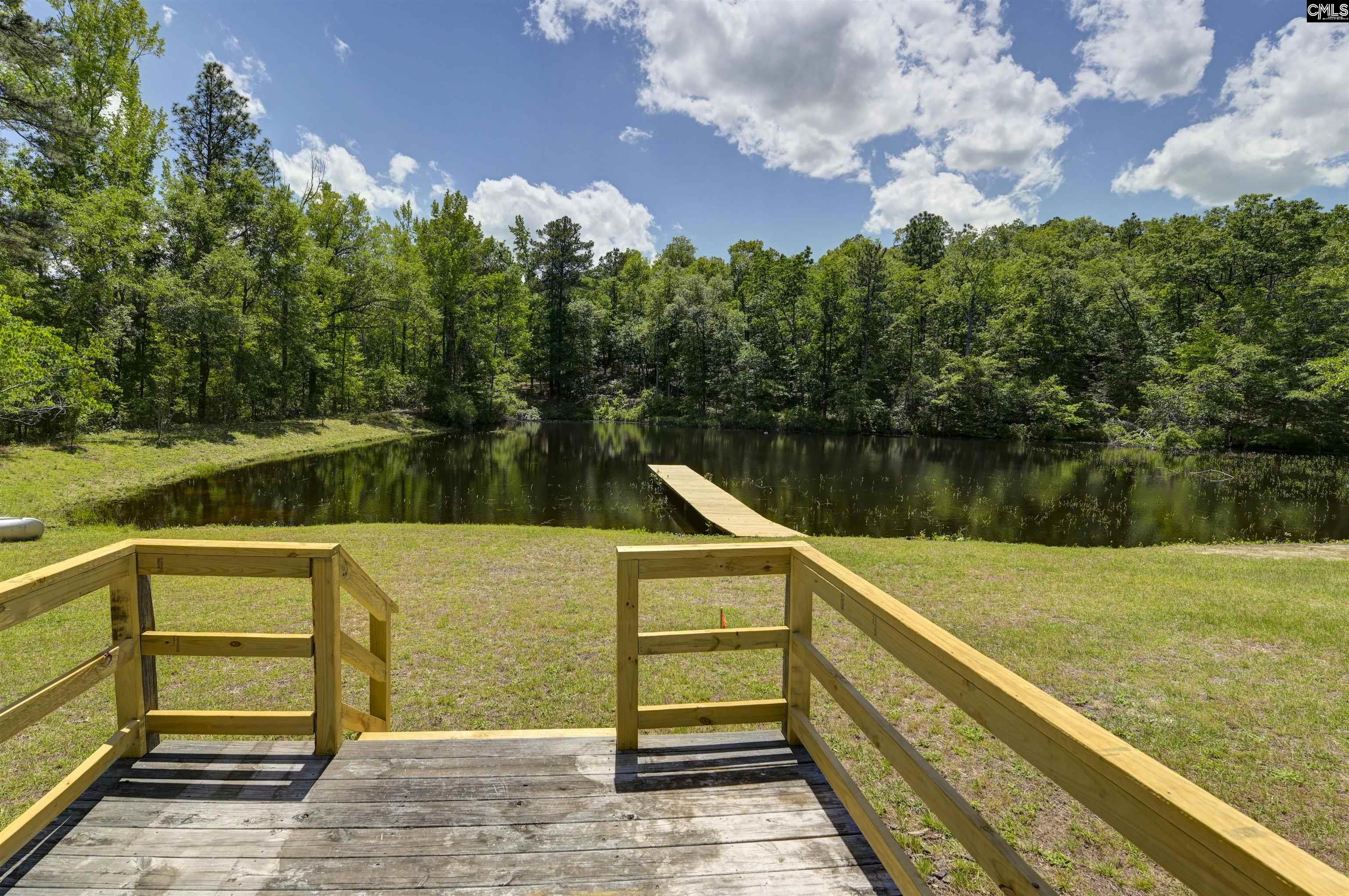 199 Dowd Drive, Gaston, South Carolina image 22