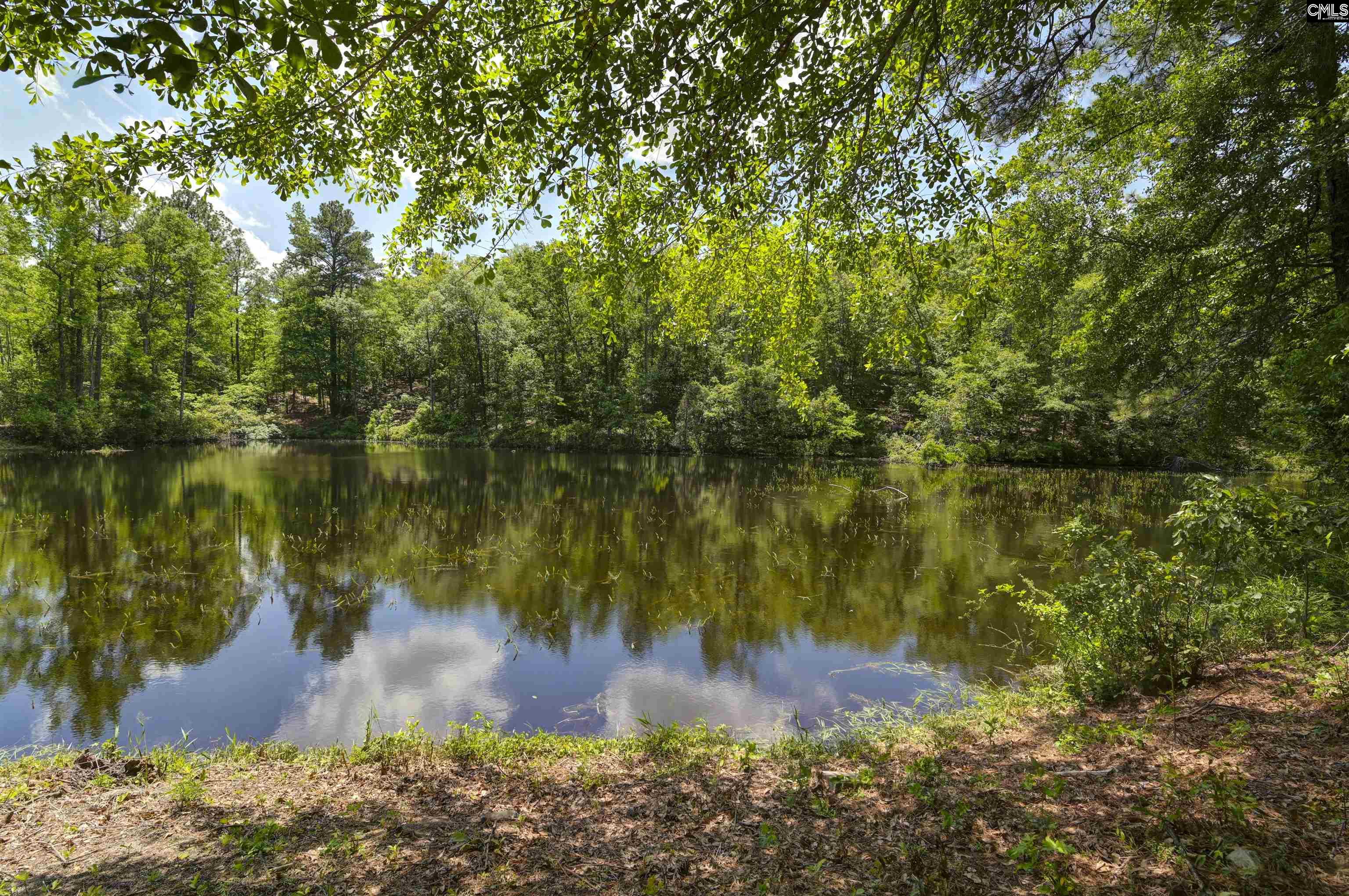 199 Dowd Drive, Gaston, South Carolina image 25