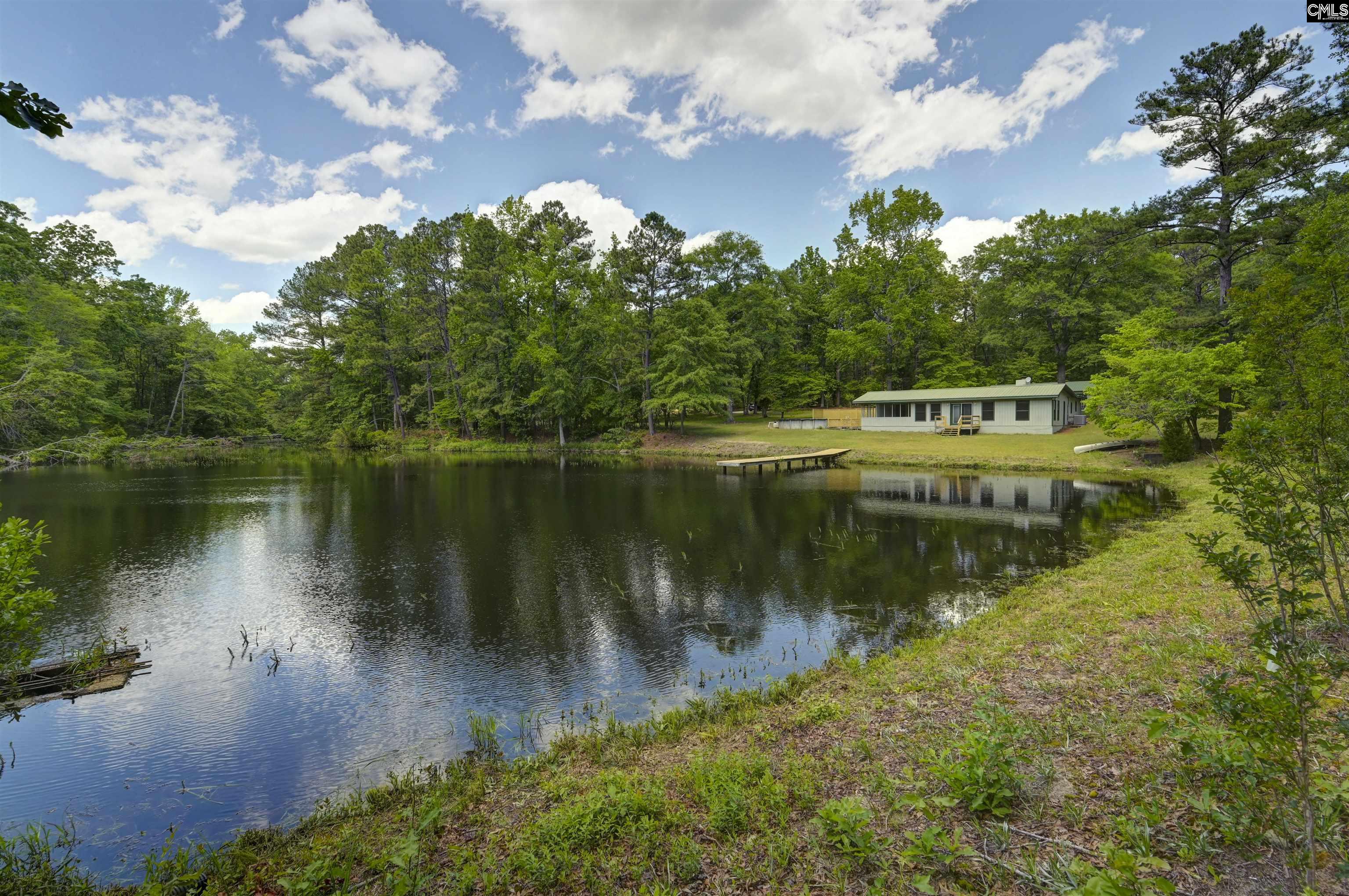 199 Dowd Drive, Gaston, South Carolina image 26