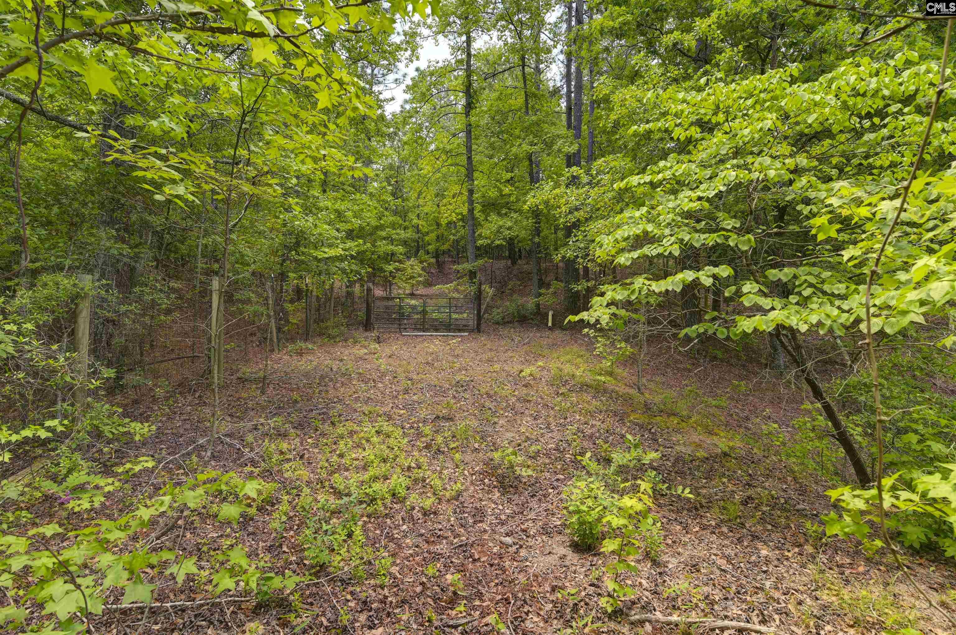 199 Dowd Drive, Gaston, South Carolina image 29