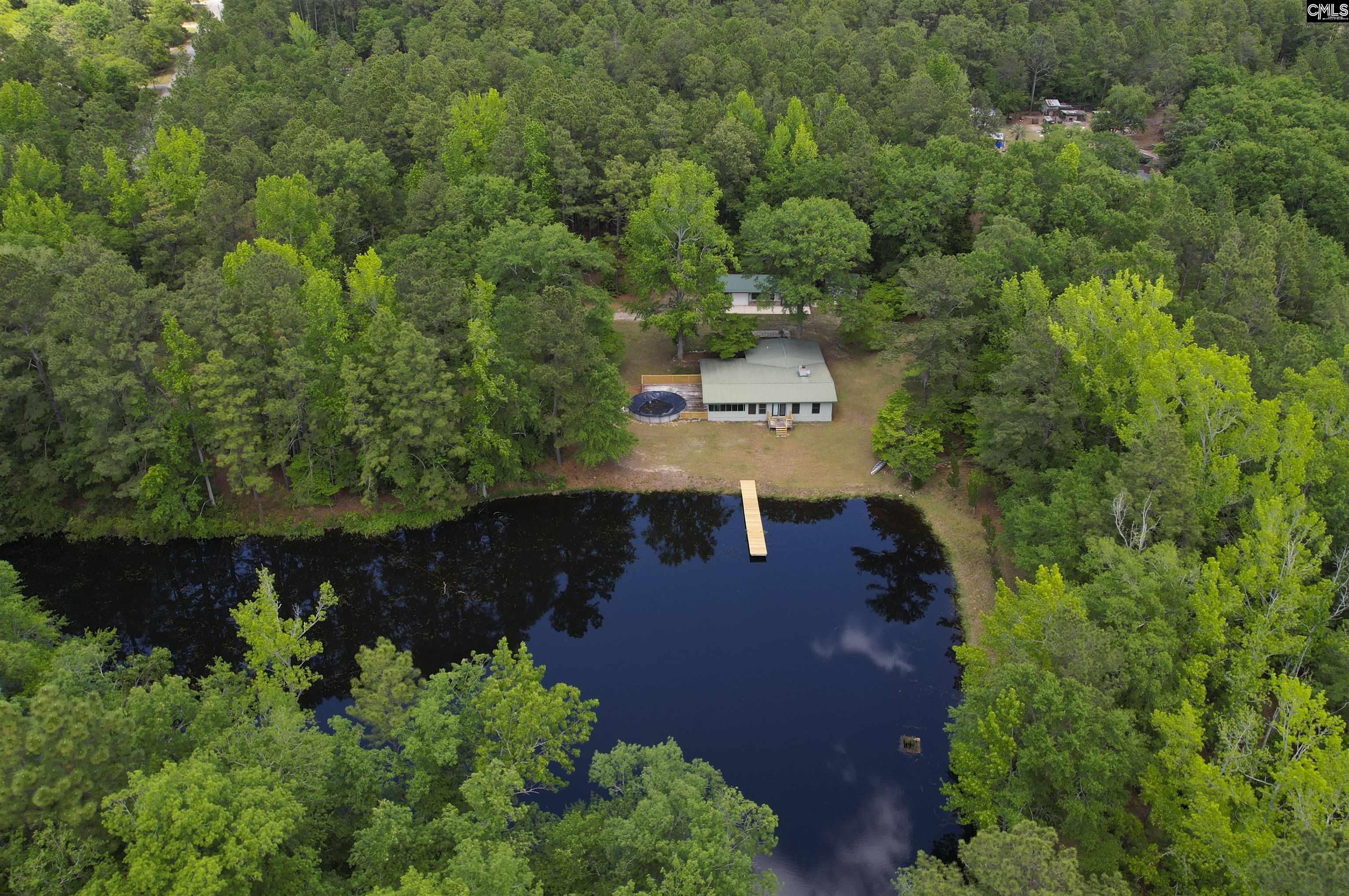 199 Dowd Drive, Gaston, South Carolina image 4